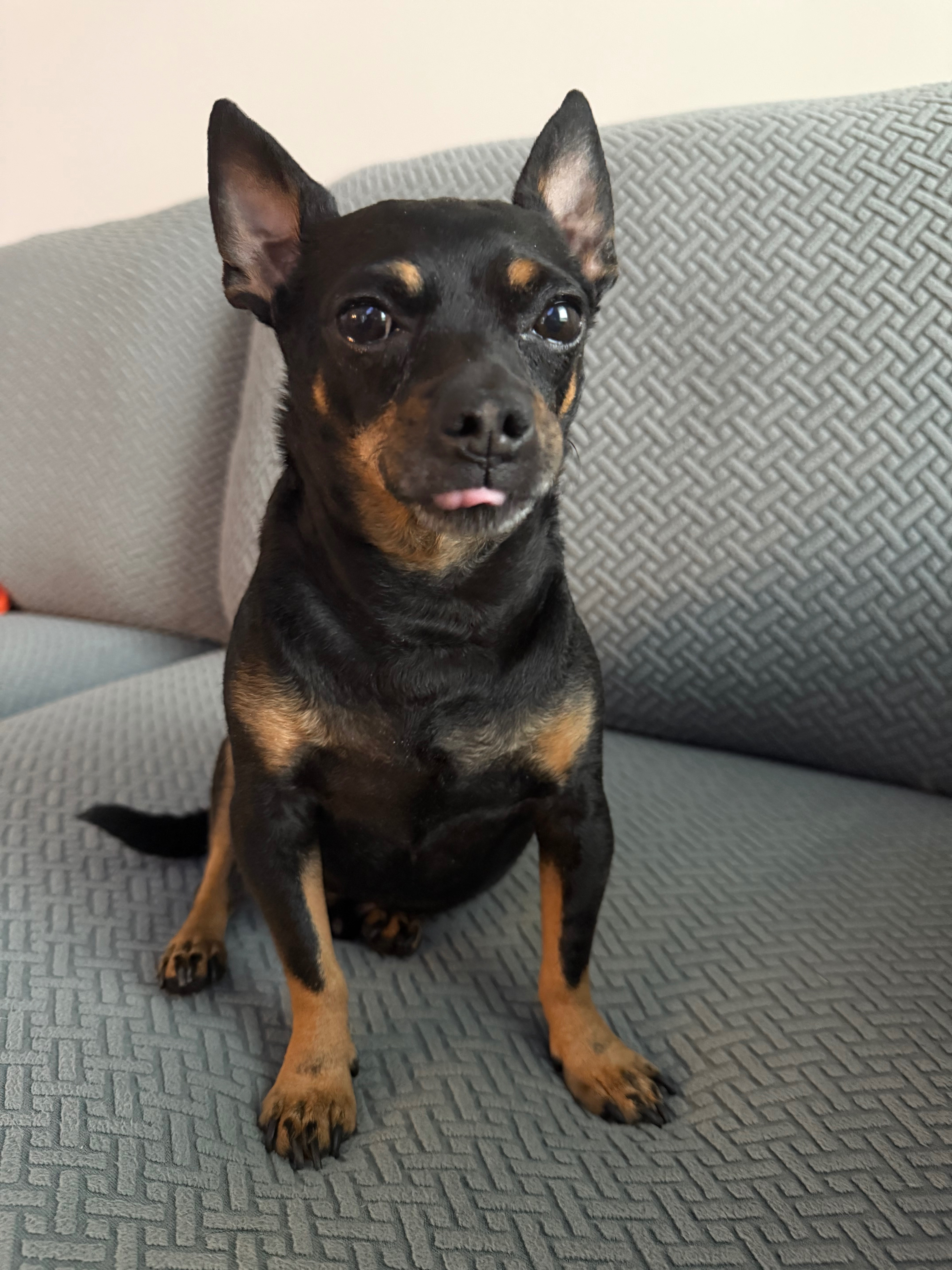 Help Major Overcome His Medical Emergency campaign photo, 2 of 8