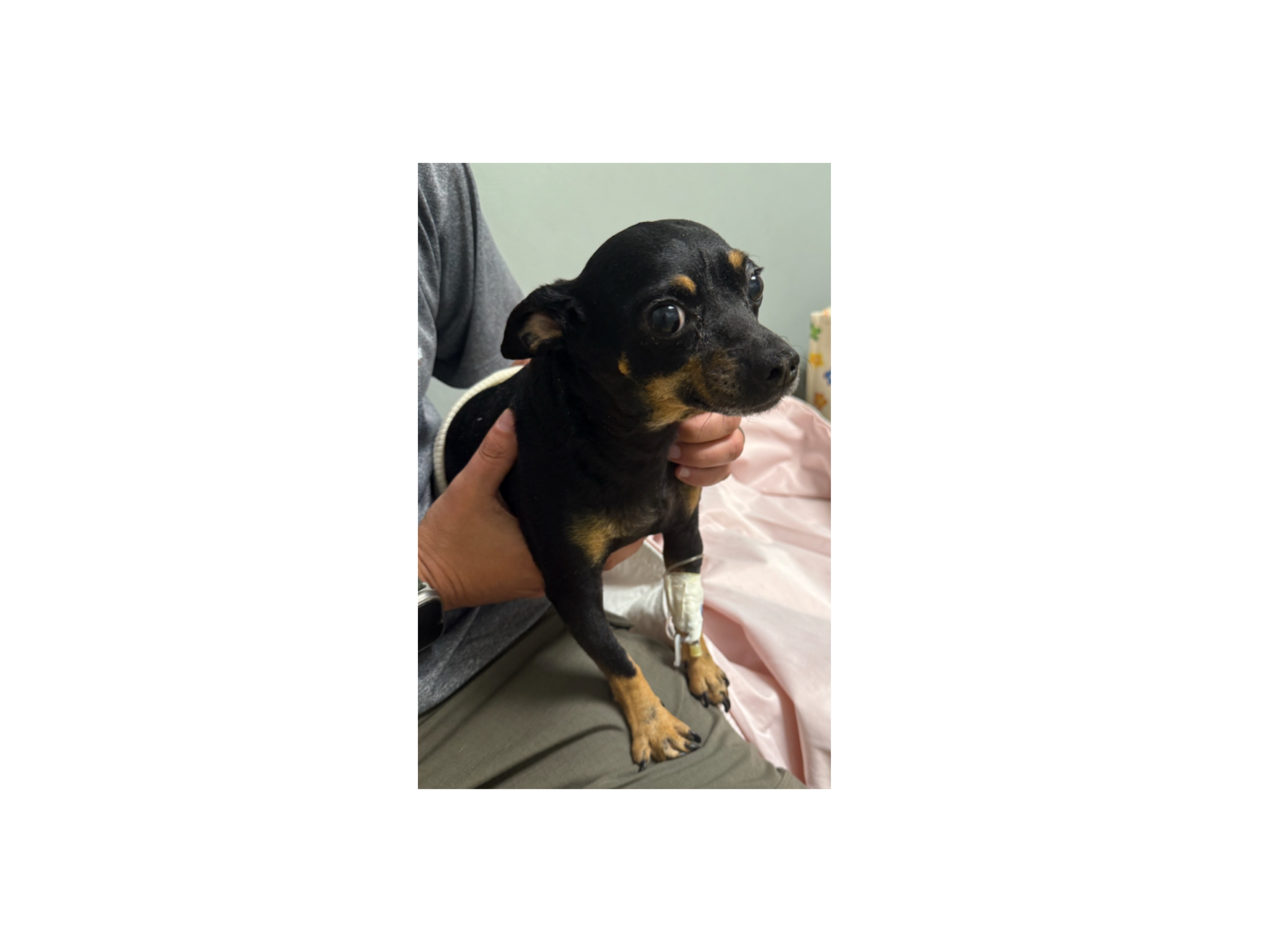 Help Major Overcome His Medical Emergency campaign photo, 6 of 8