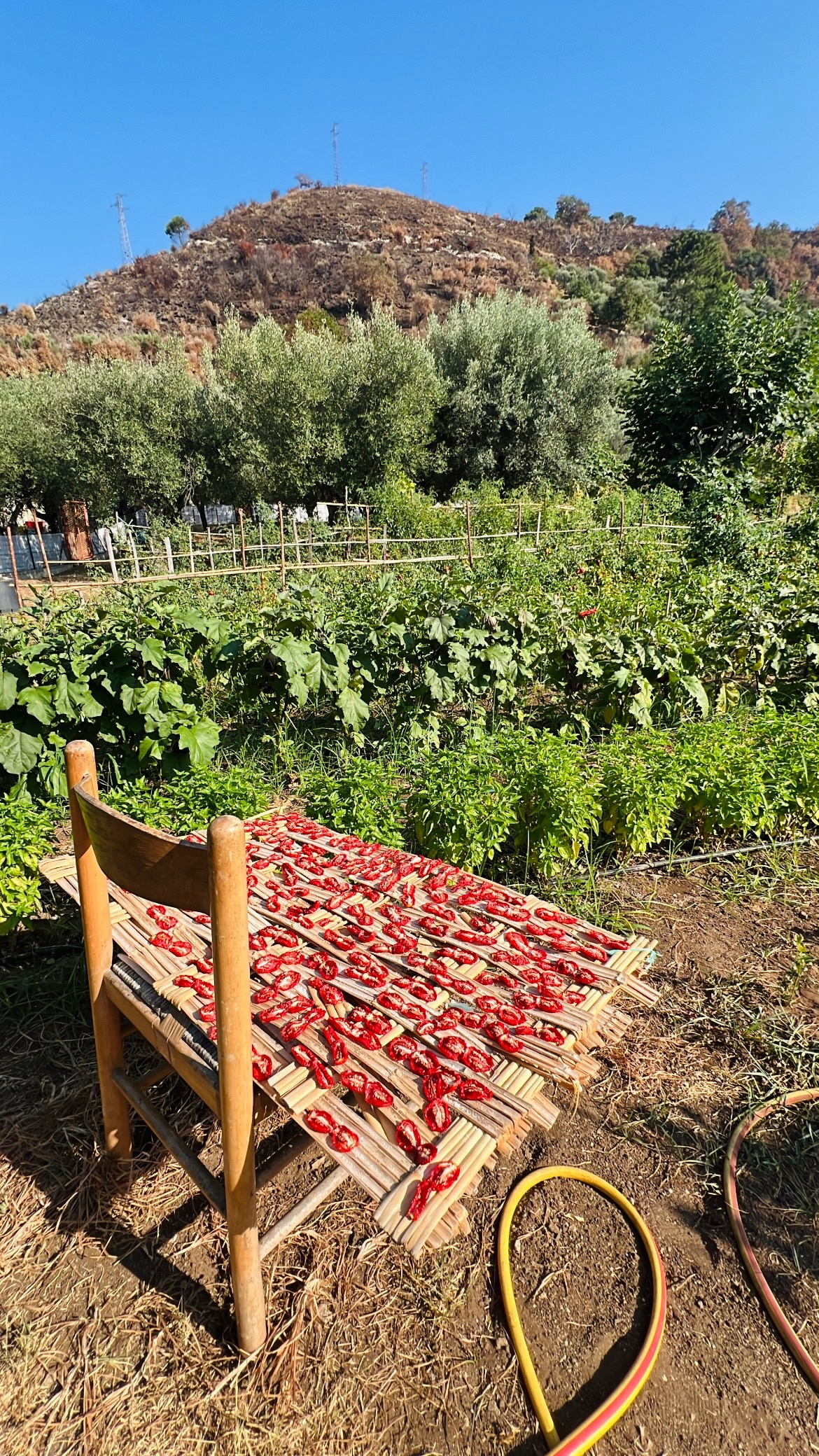 DVT - Dolce Vita Tropeana campaign photo, 6 of 8