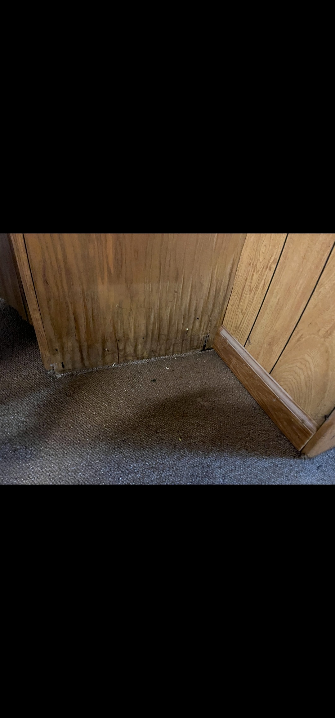 Help the Petersons' after devastating floods campaign photo, 2 of 8