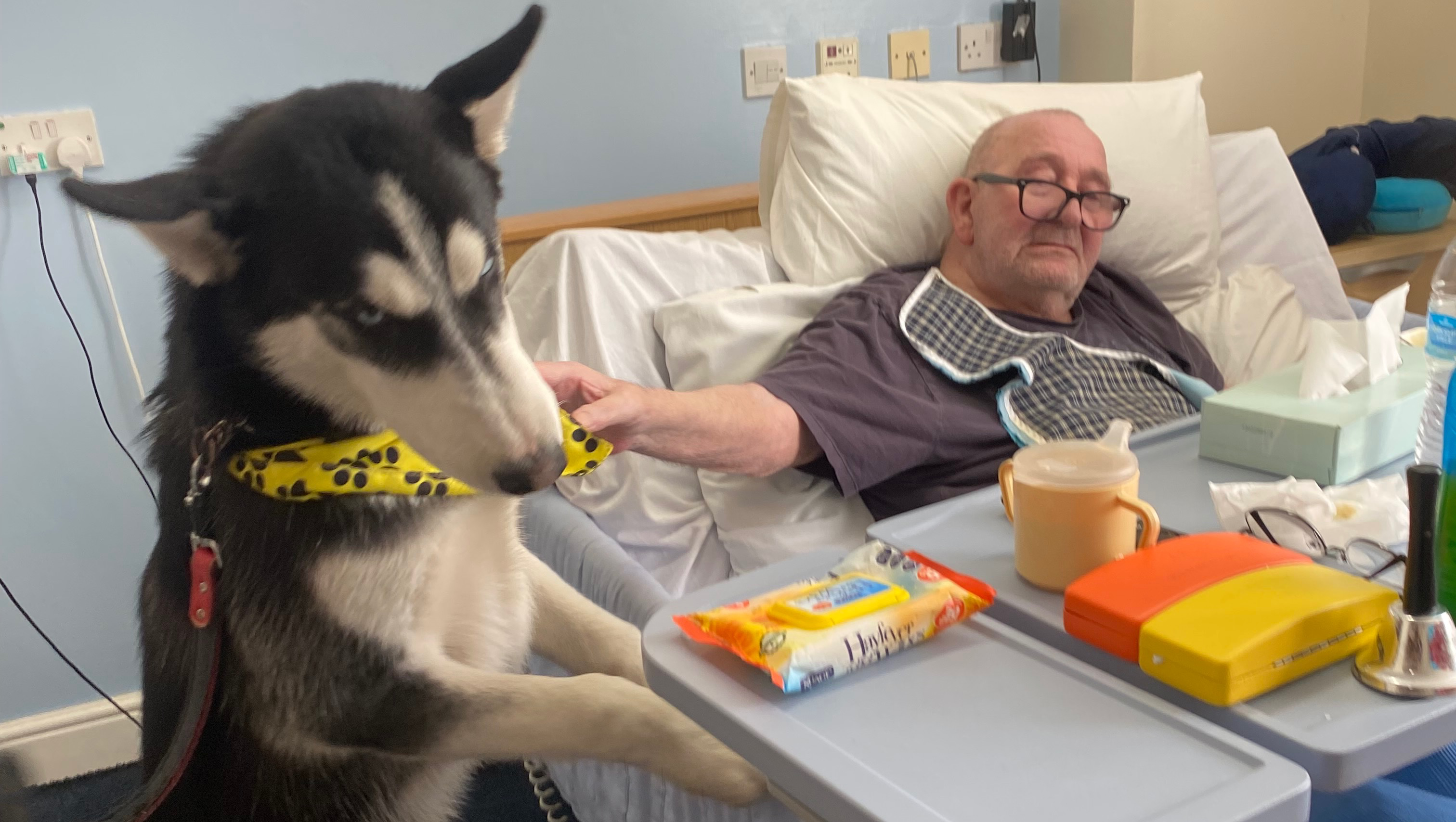 Help better the community through dog therapy in London photo