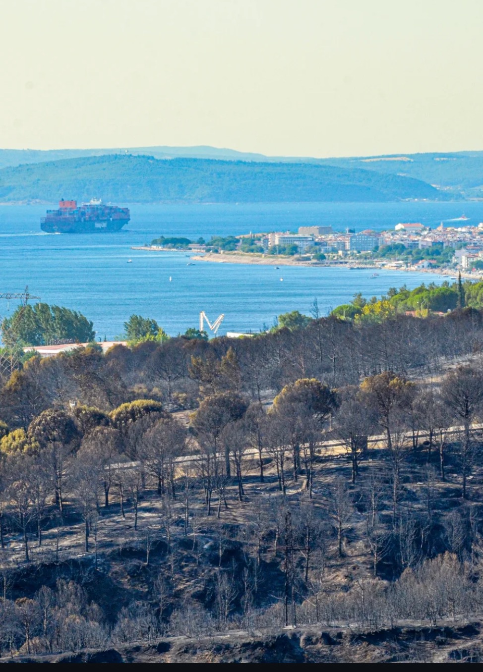 From Ashes to Forests: Support Çanakkale’s Wildfire Recovery campaign photo, 6 of 7