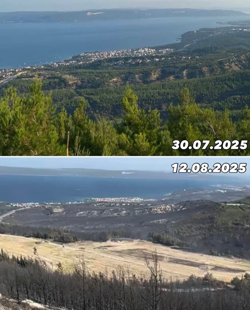 From Ashes to Forests: Support Çanakkale’s Wildfire Recovery campaign photo, 2 of 7