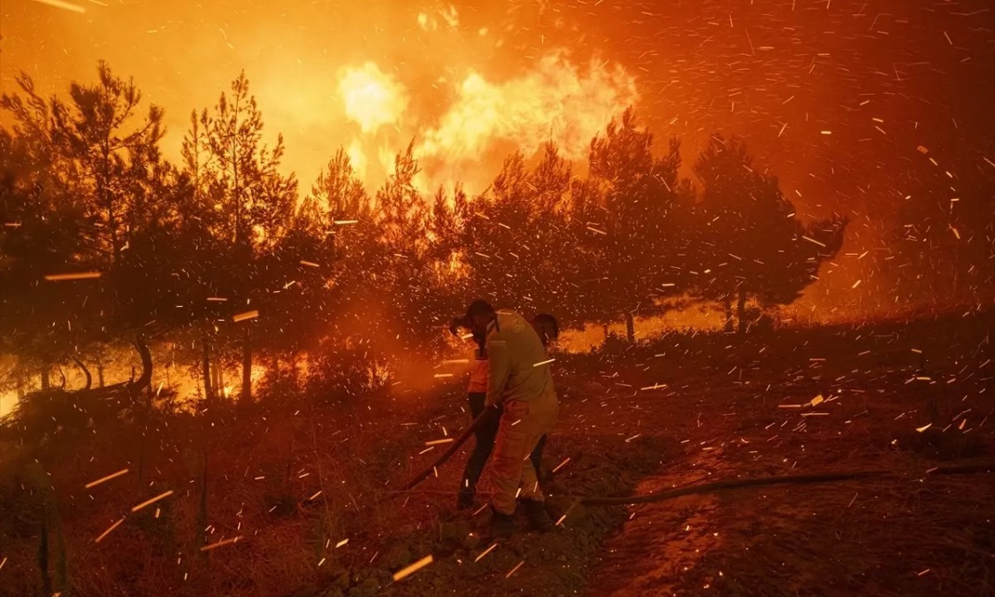 From Ashes to Forests: Support Çanakkale’s Wildfire Recovery campaign photo, 5 of 7
