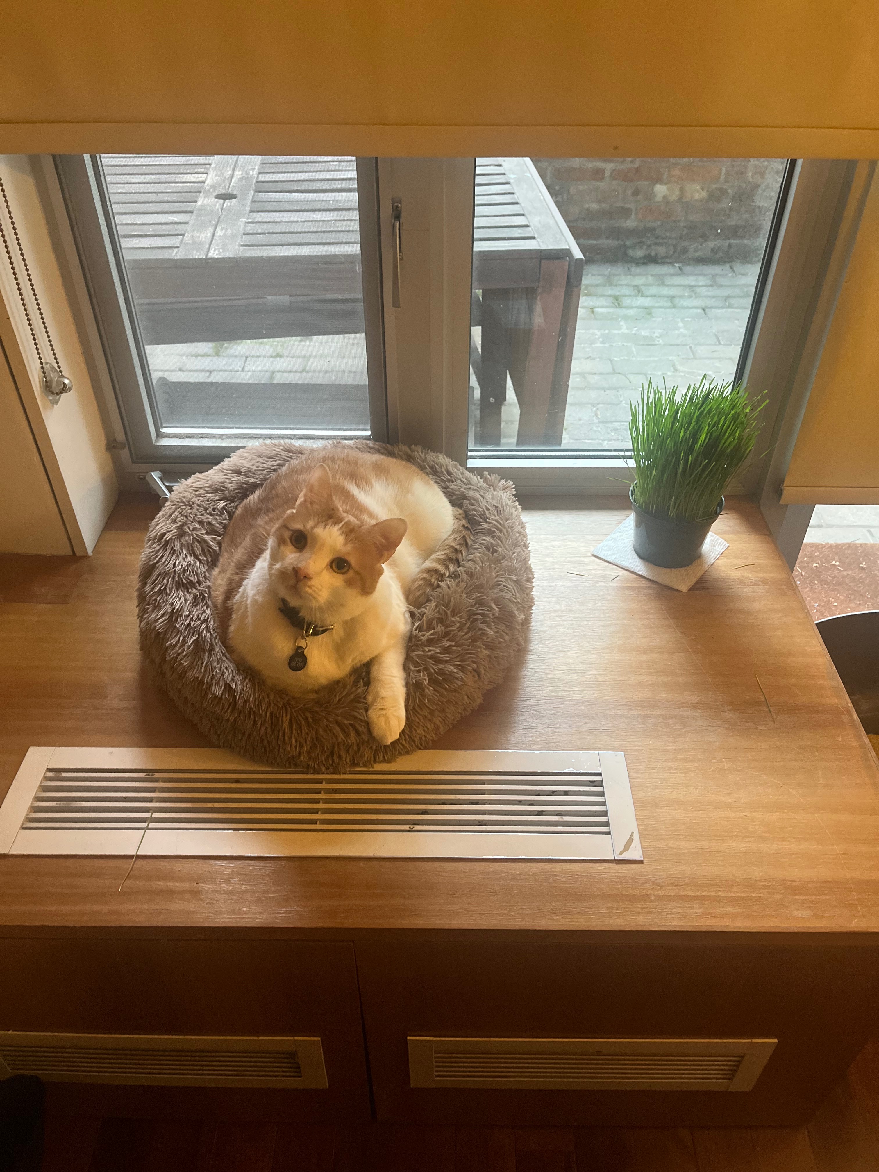 User-uploaded image 1