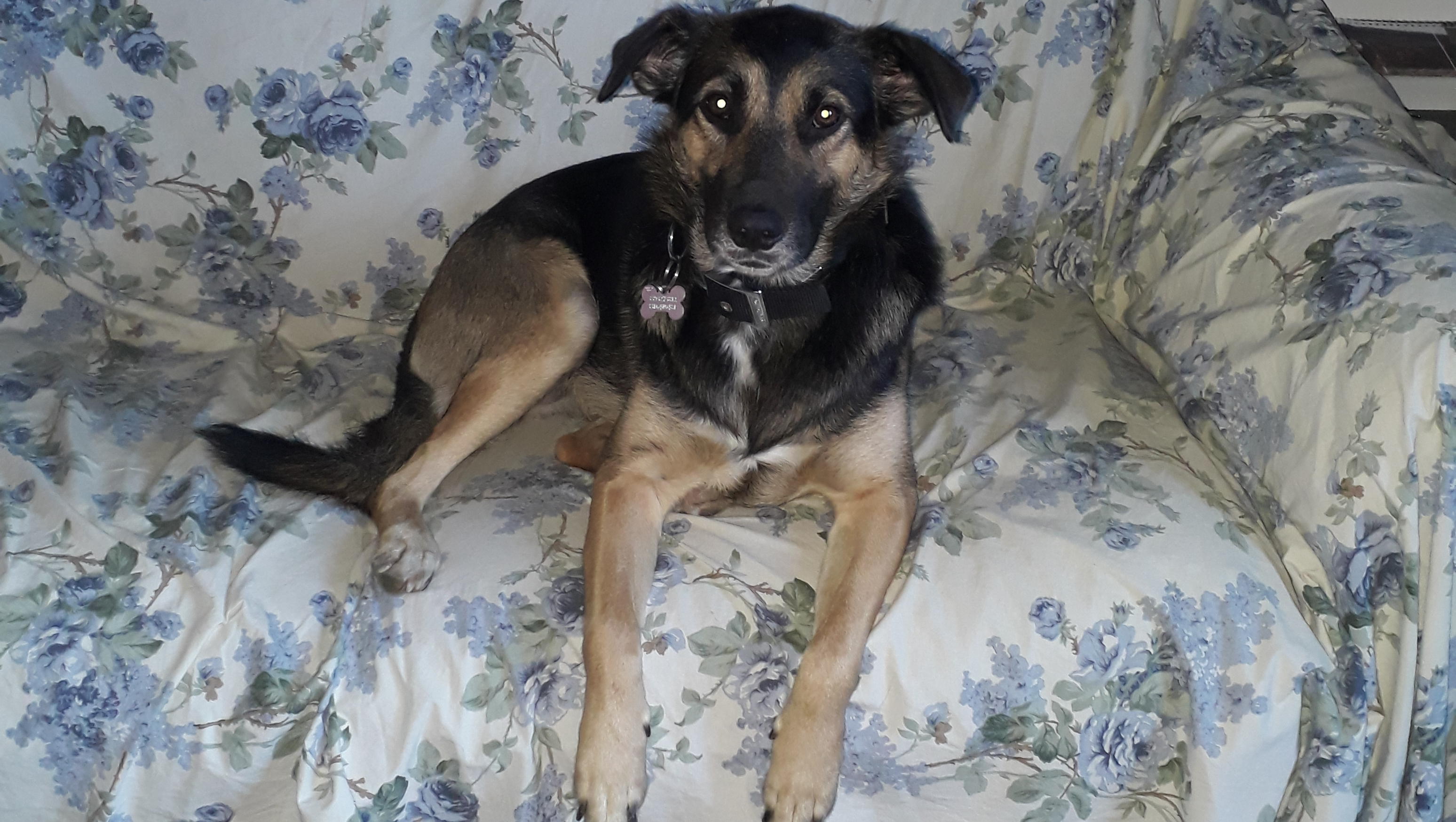 Un aiuto per Joy photo