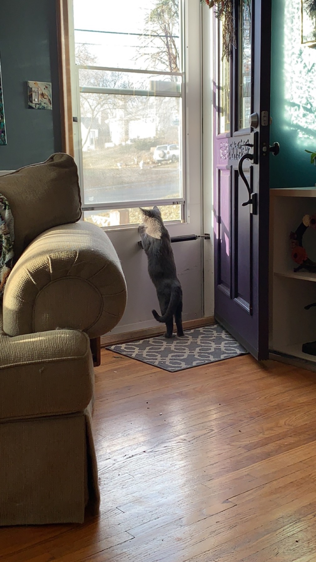Bear's Orthopedic Surgery: Your Help Matters campaign photo, 4 of 8