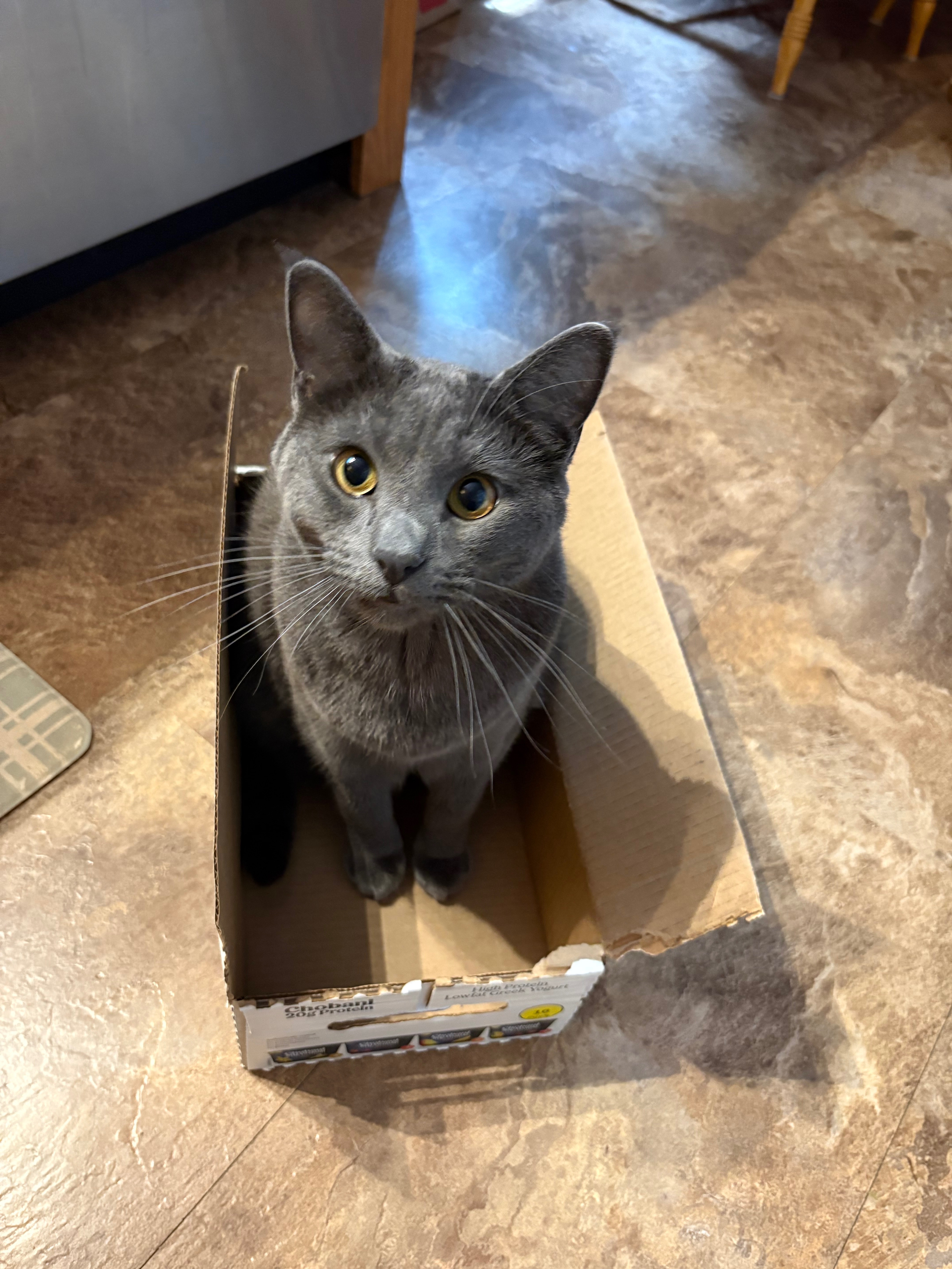 Bear's Orthopedic Surgery: Your Help Matters campaign photo, 5 of 8
