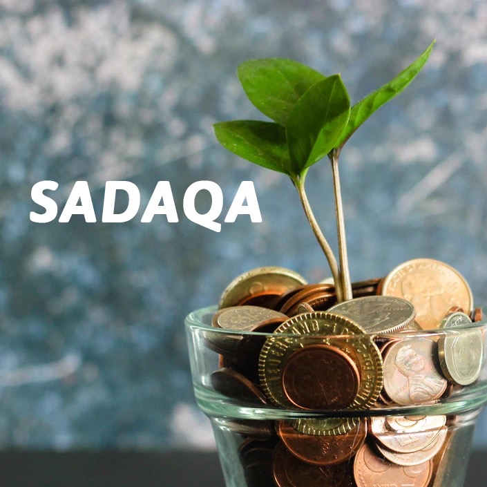 User-uploaded image 1