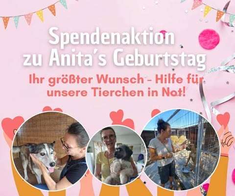 Anitas Geburtstagsspendenaktion für Pfote sucht Glück e.V. campaign photo, 2 of 4