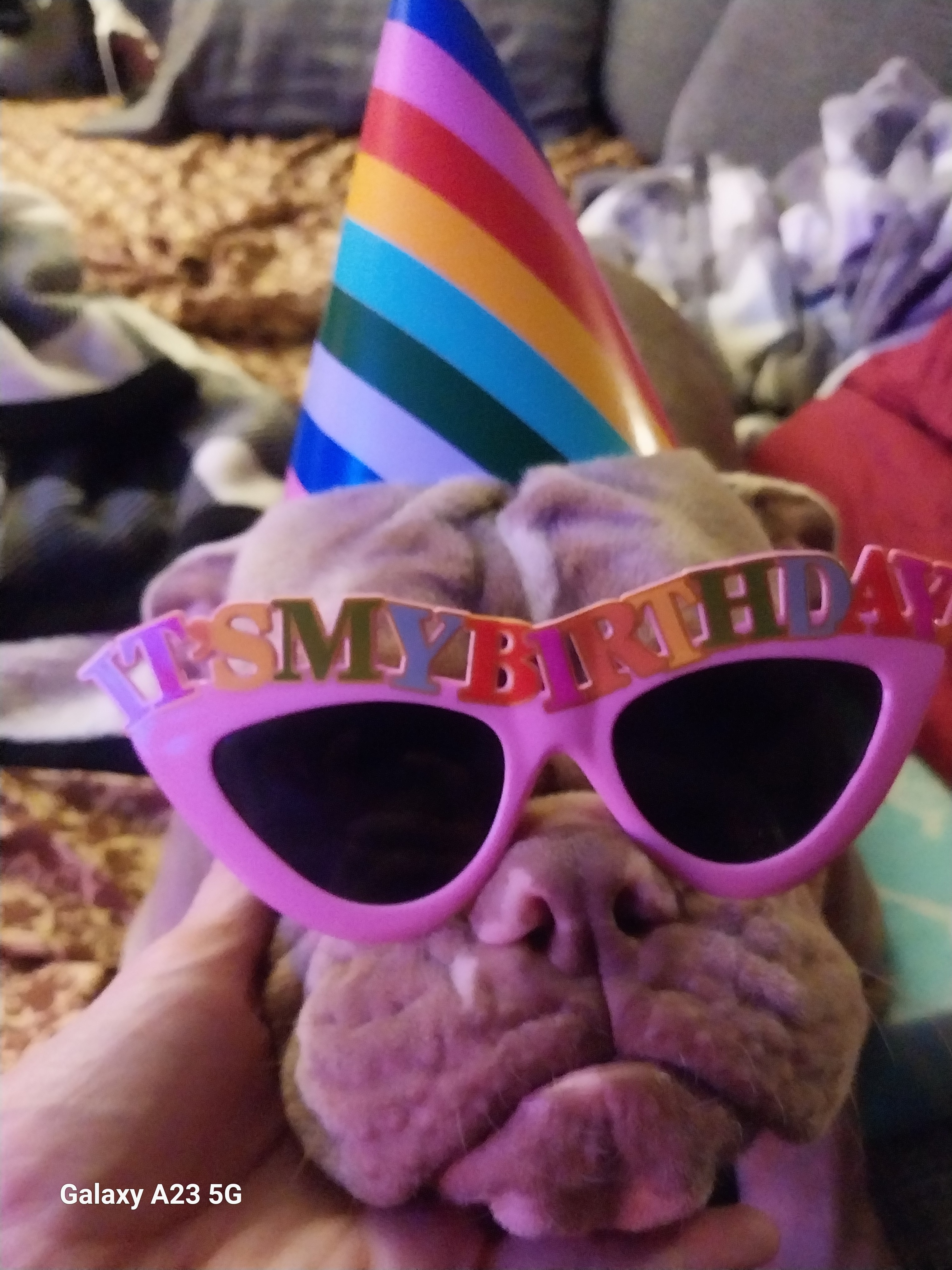 Help Daizee Jane Heal: Support Her Surgery campaign photo, 2 of 5