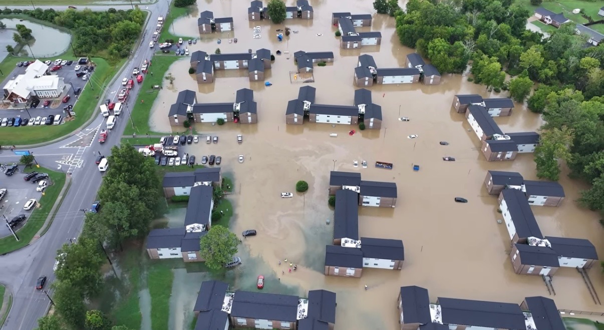 User-uploaded image 1