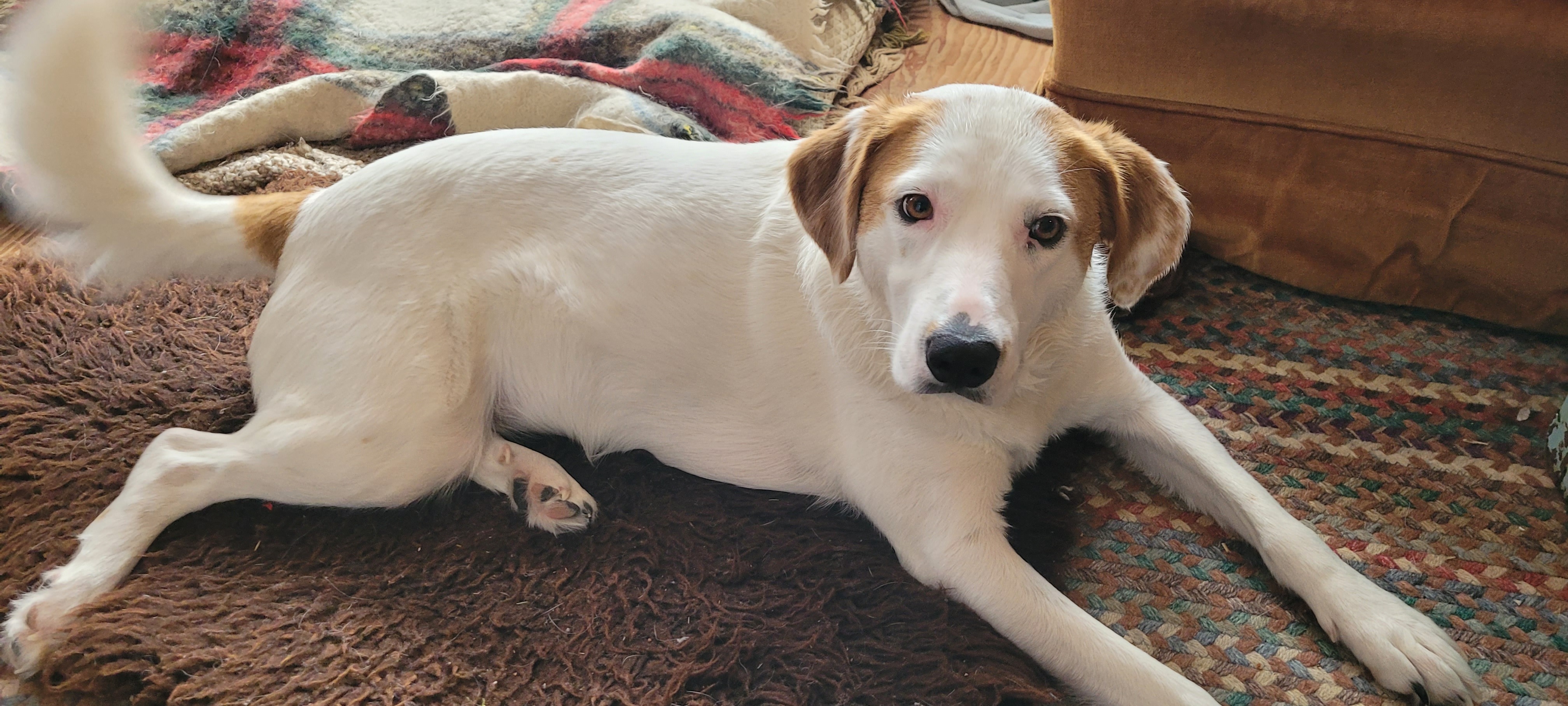 User-uploaded image 1