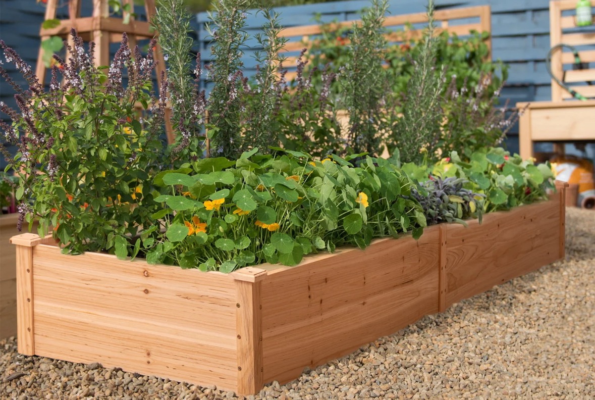 Garden Beds for Douglas MacArthur Elementary campaign photo, 5 of 6