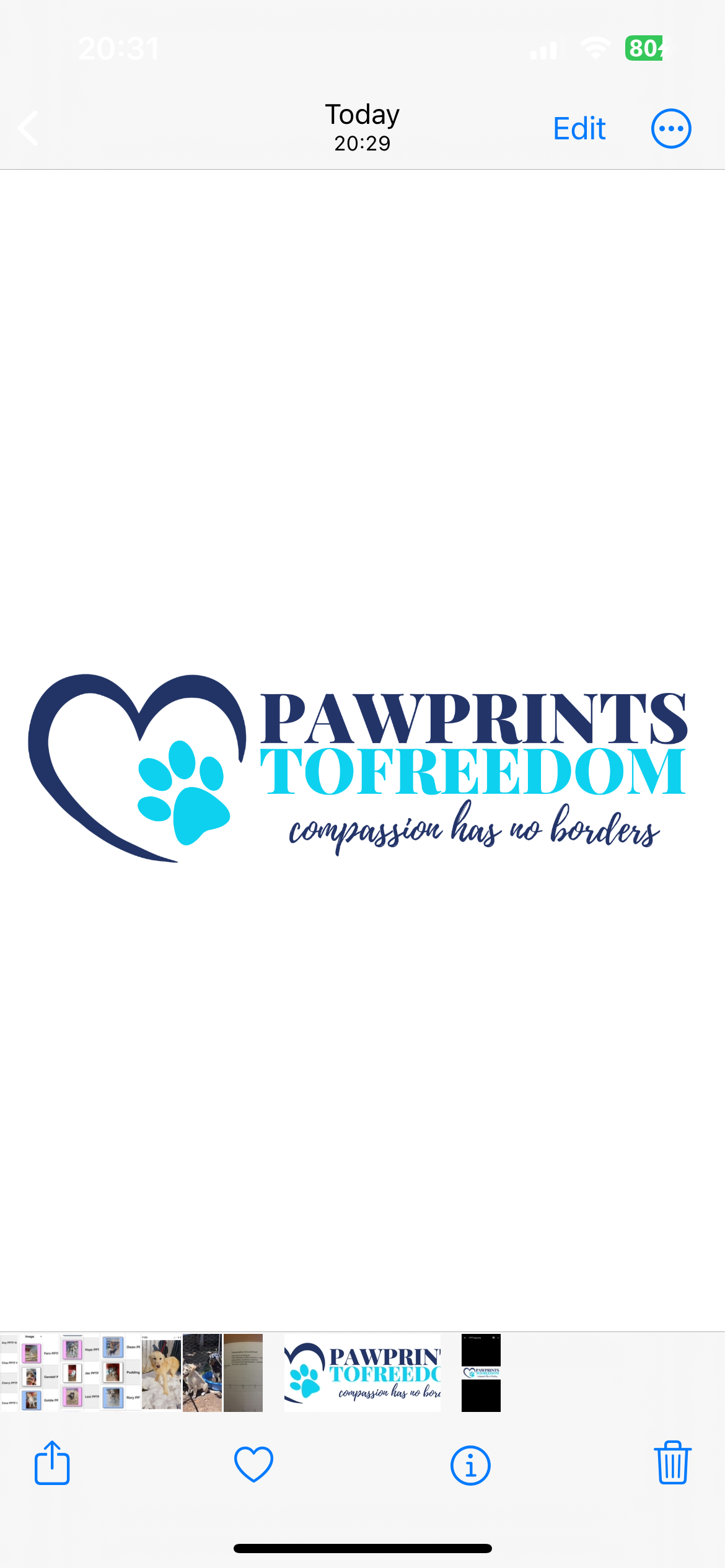 Pawprints to Freedom Tough Mudder 2025 campaign photo, 2 of 4