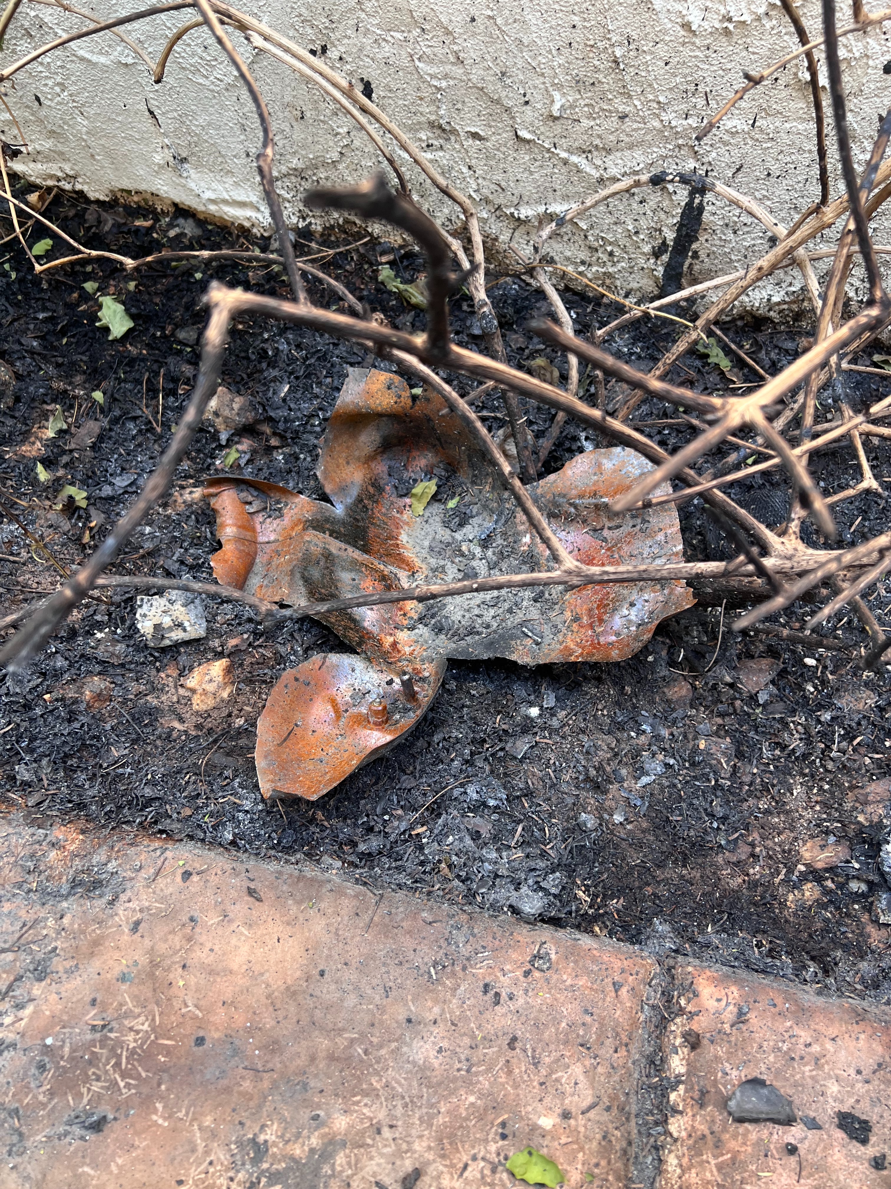 Fire Recovery Fund campaign photo, 4 of 8
