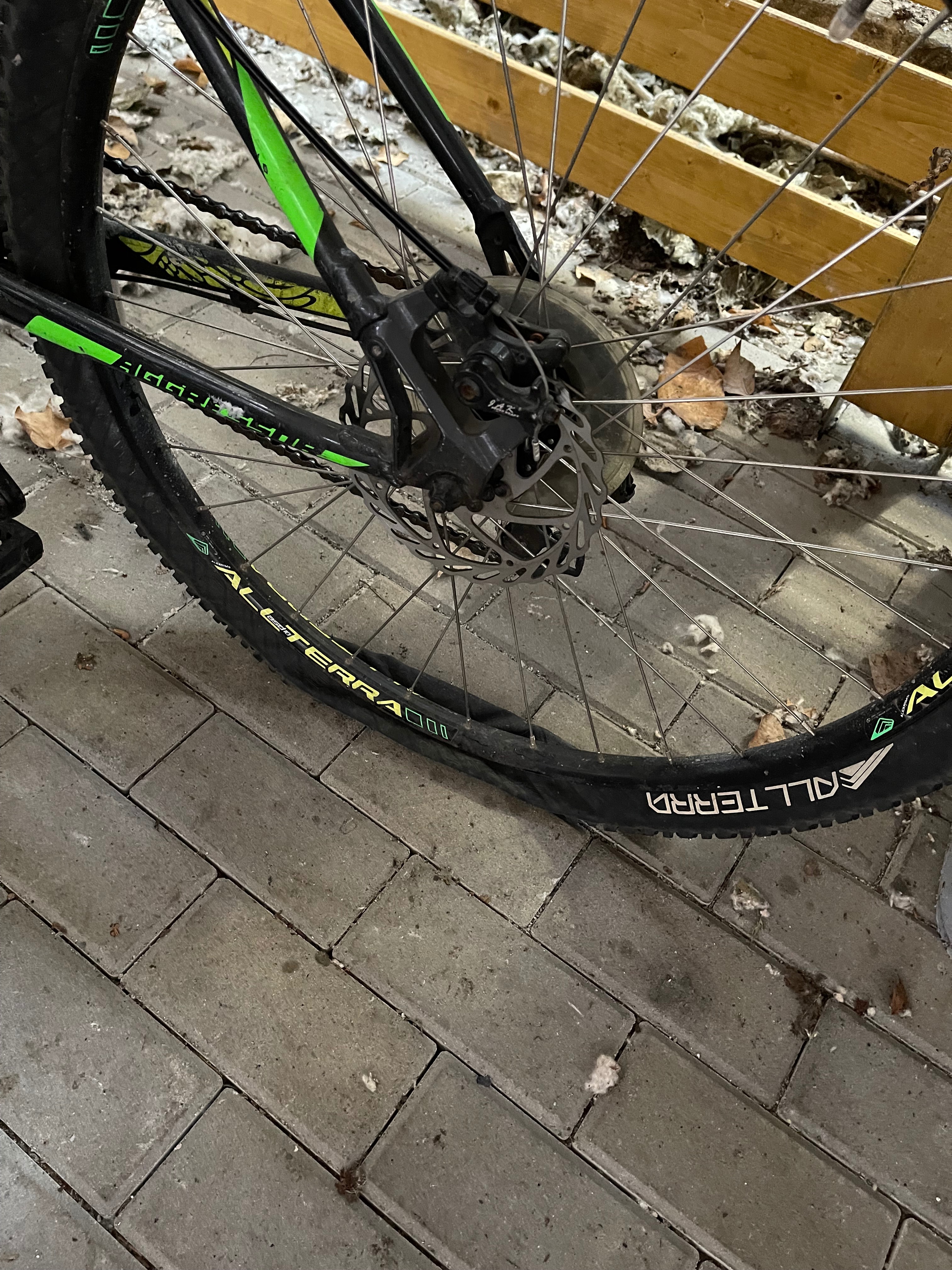 User-uploaded image 1