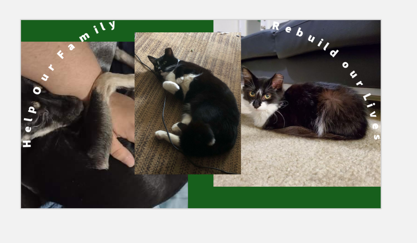 User-uploaded image 1