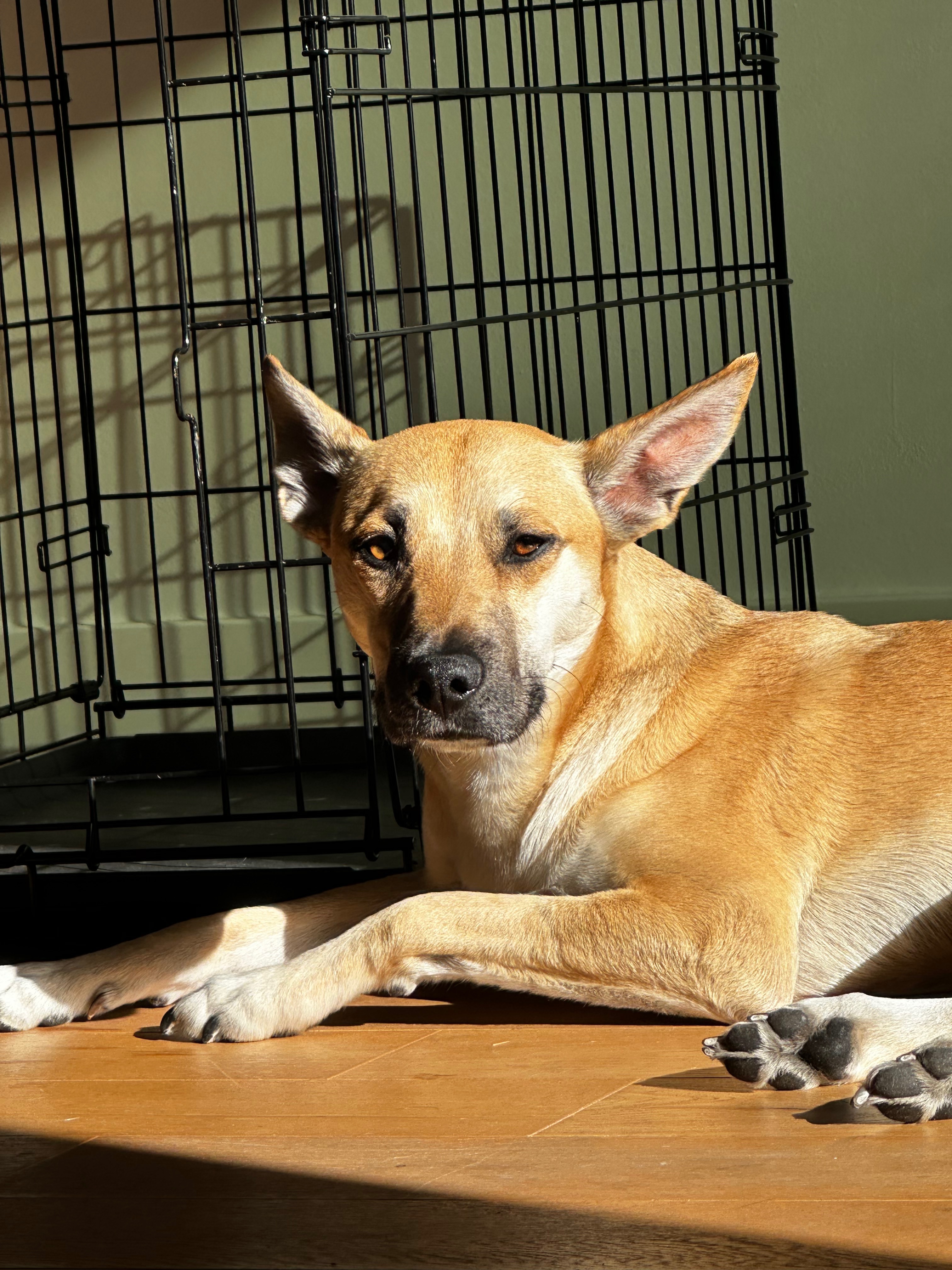 Join Neo's Fight: Overcome His Severe Injuries campaign photo, 2 of 6