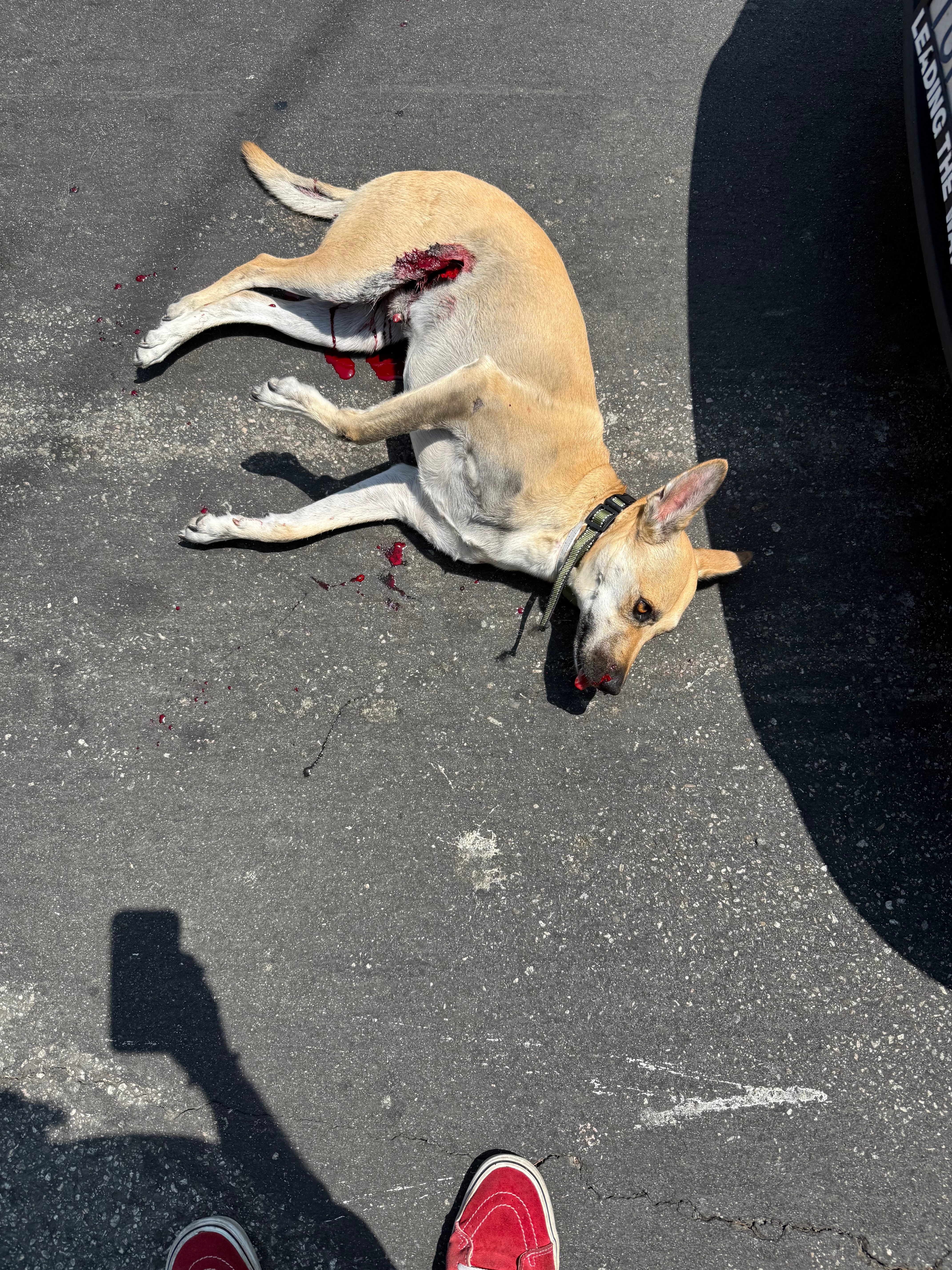 Join Neo's Fight: Overcome His Severe Injuries campaign photo, 4 of 6