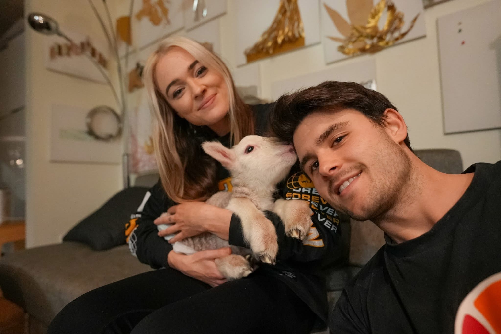 User-uploaded image 1