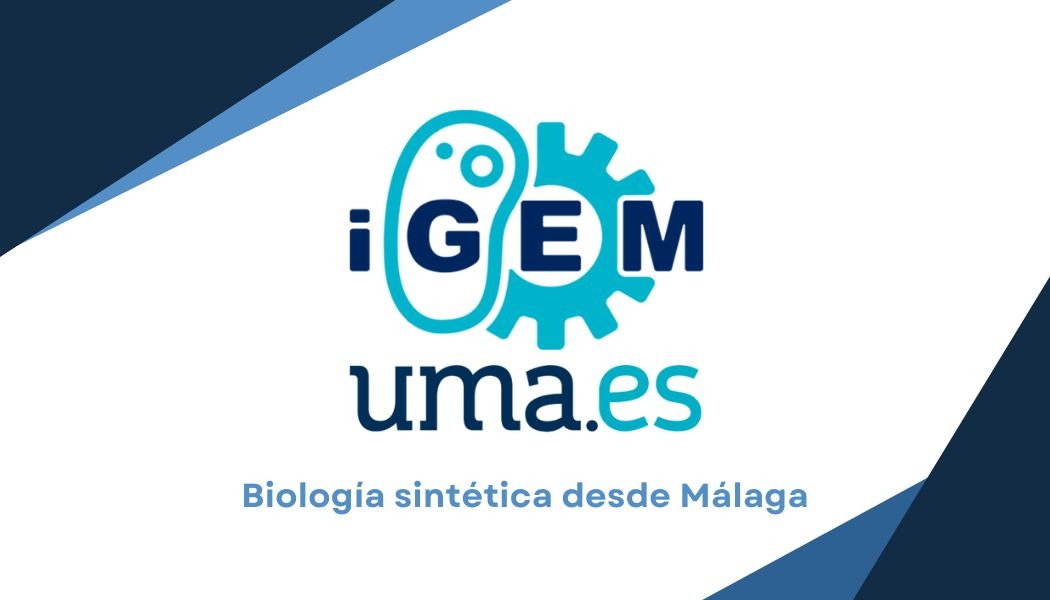 iGEM-UMA recaudación 2025 campaign photo, 7 of 8