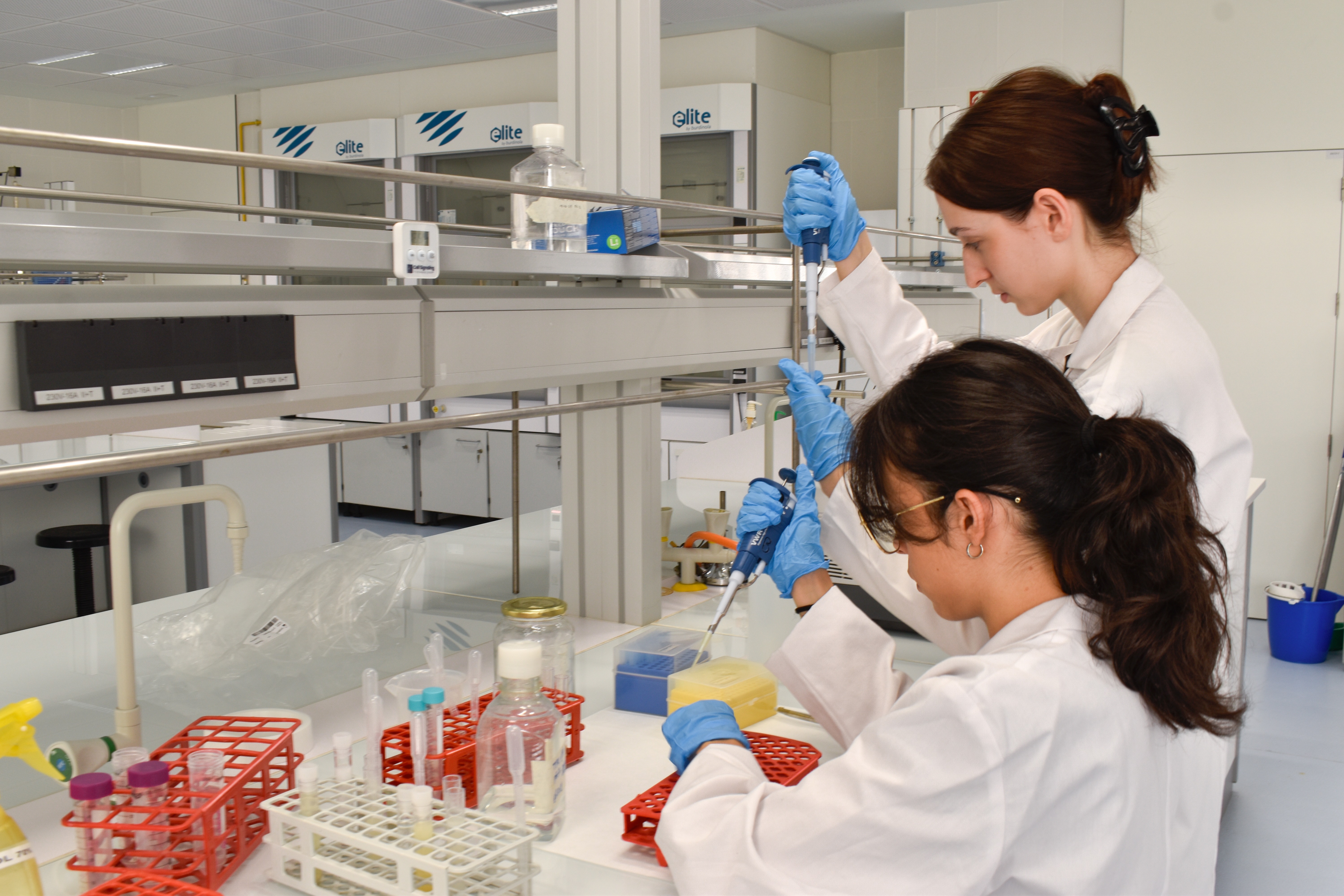 iGEM-UMA recaudación 2025 campaign photo, 2 of 8
