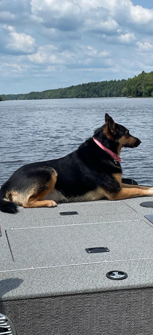 Aura's Journey: A Veteran's Hopeful Recovery campaign photo, 7 of 8