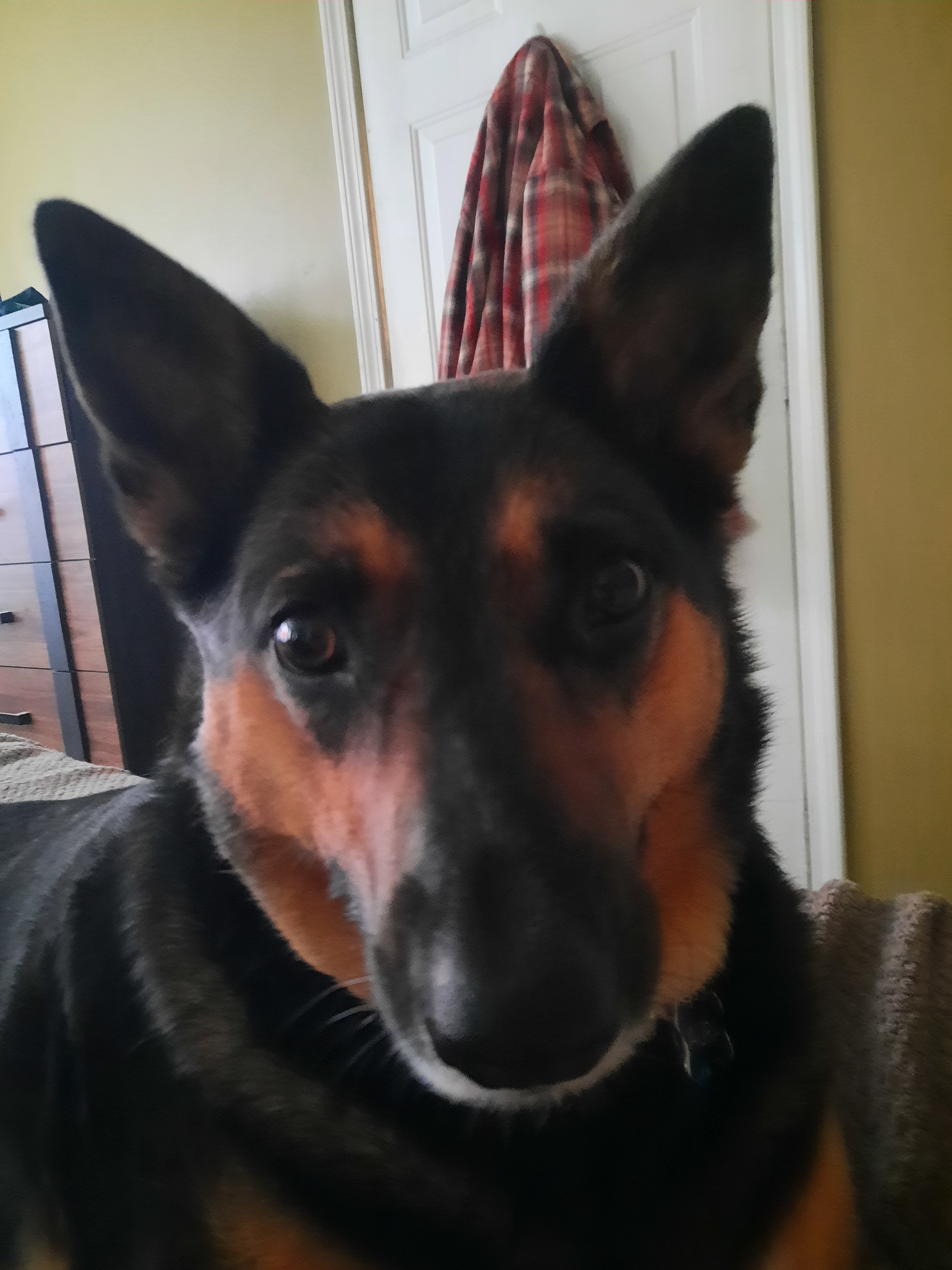 Aura's Journey: A Veteran's Hopeful Recovery campaign photo, 2 of 8