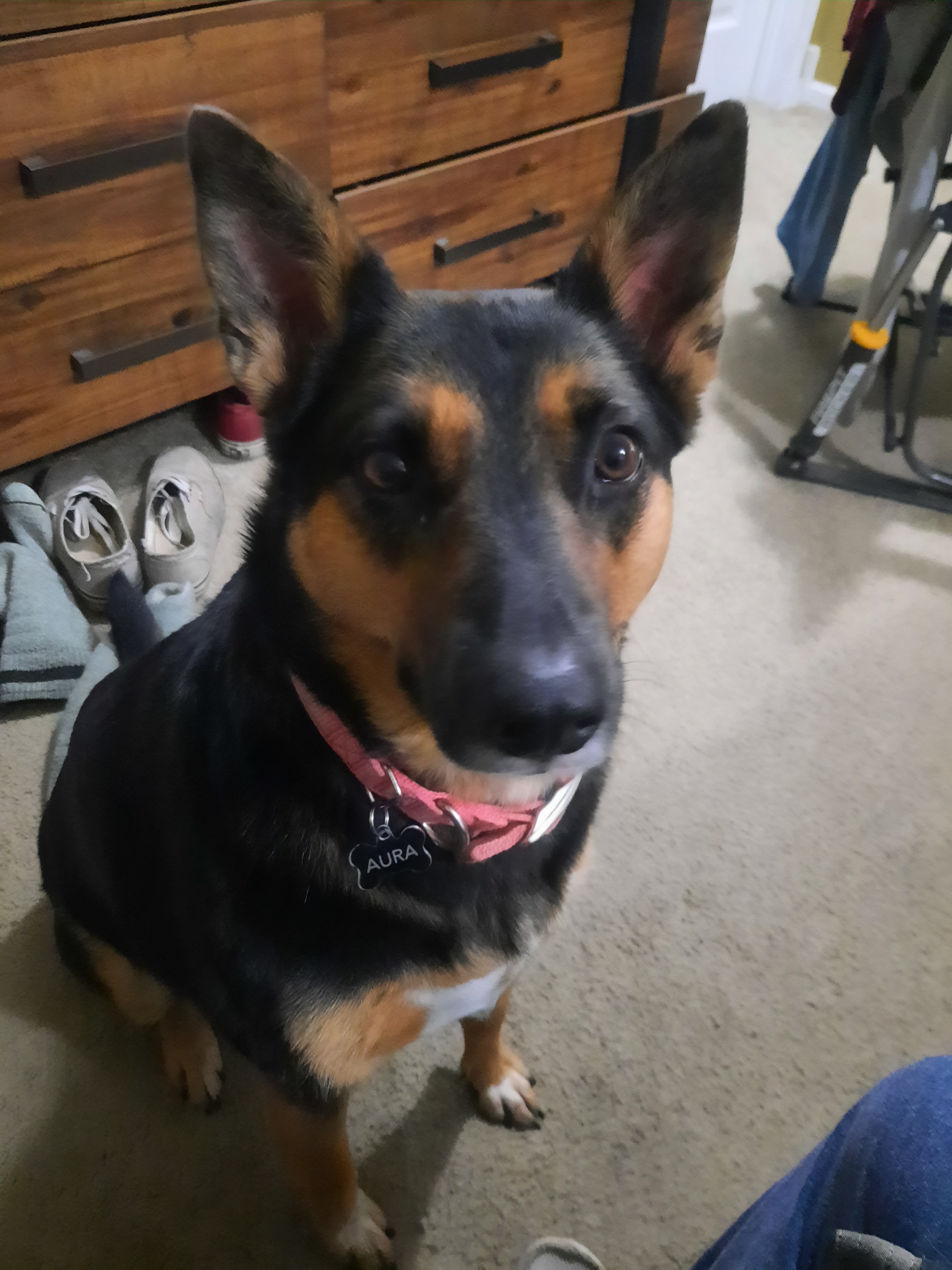 Aura's Journey: A Veteran's Hopeful Recovery campaign photo, 5 of 8