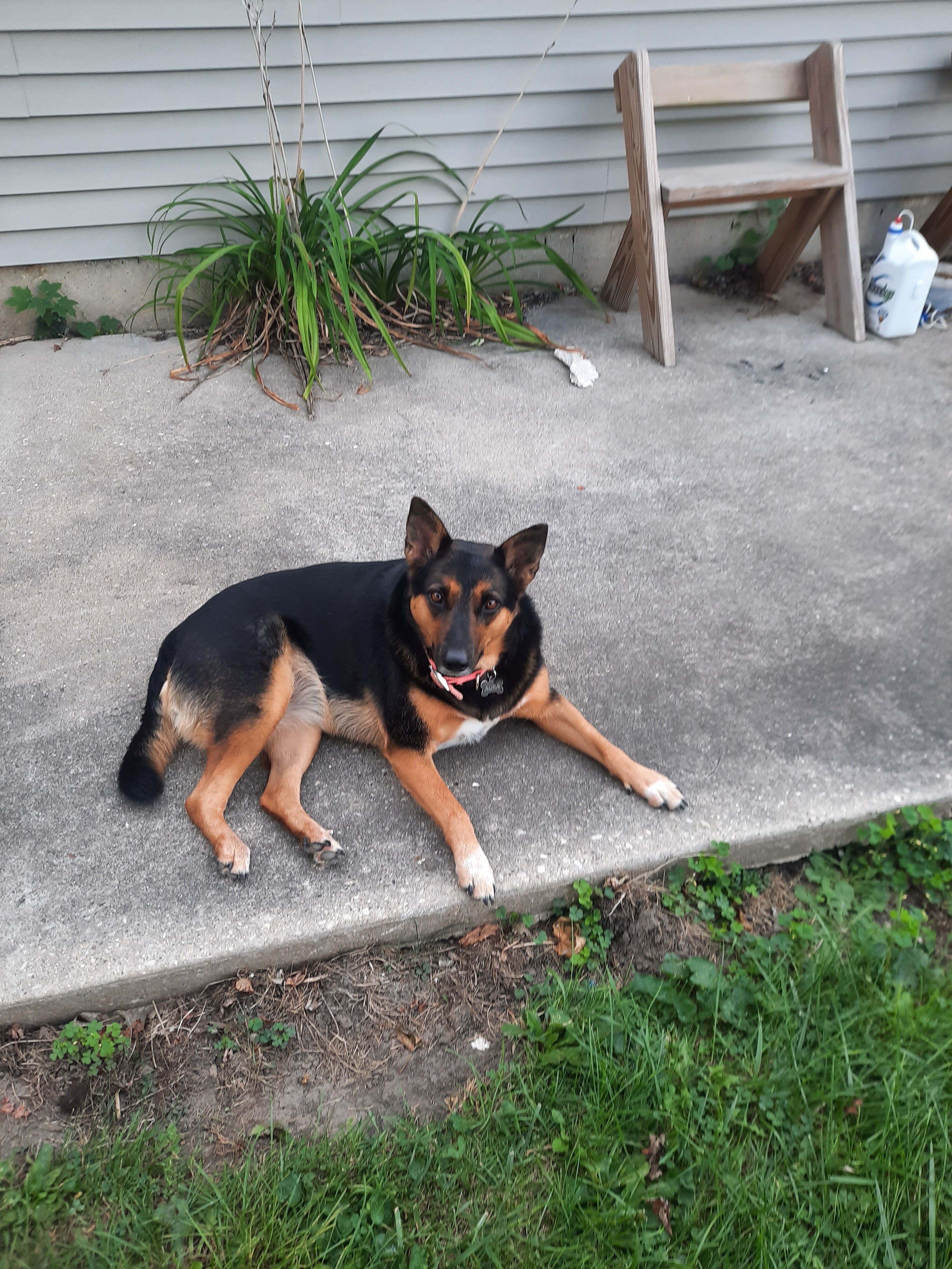 Aura's Journey: A Veteran's Hopeful Recovery campaign photo, 6 of 8