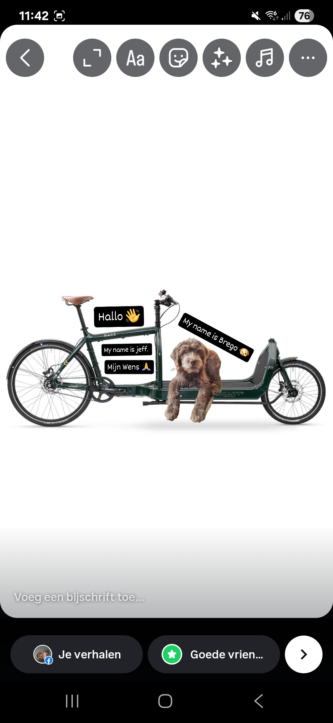 User-uploaded image 1