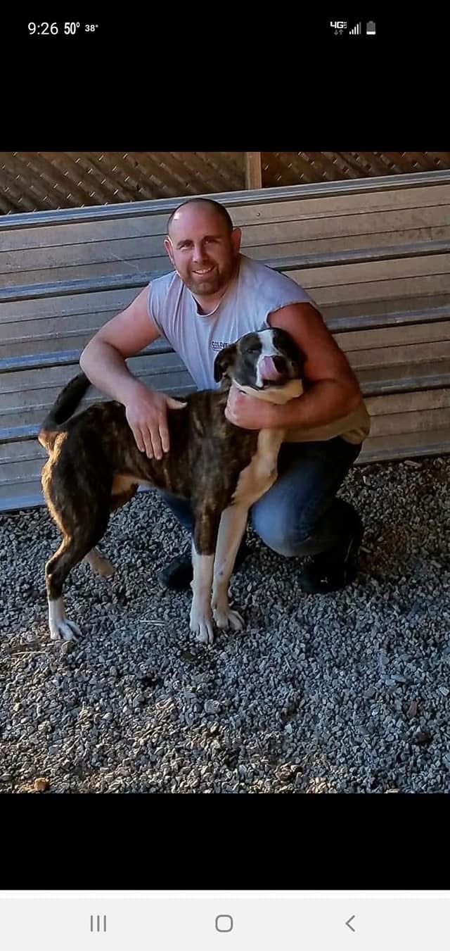 User-uploaded image 1