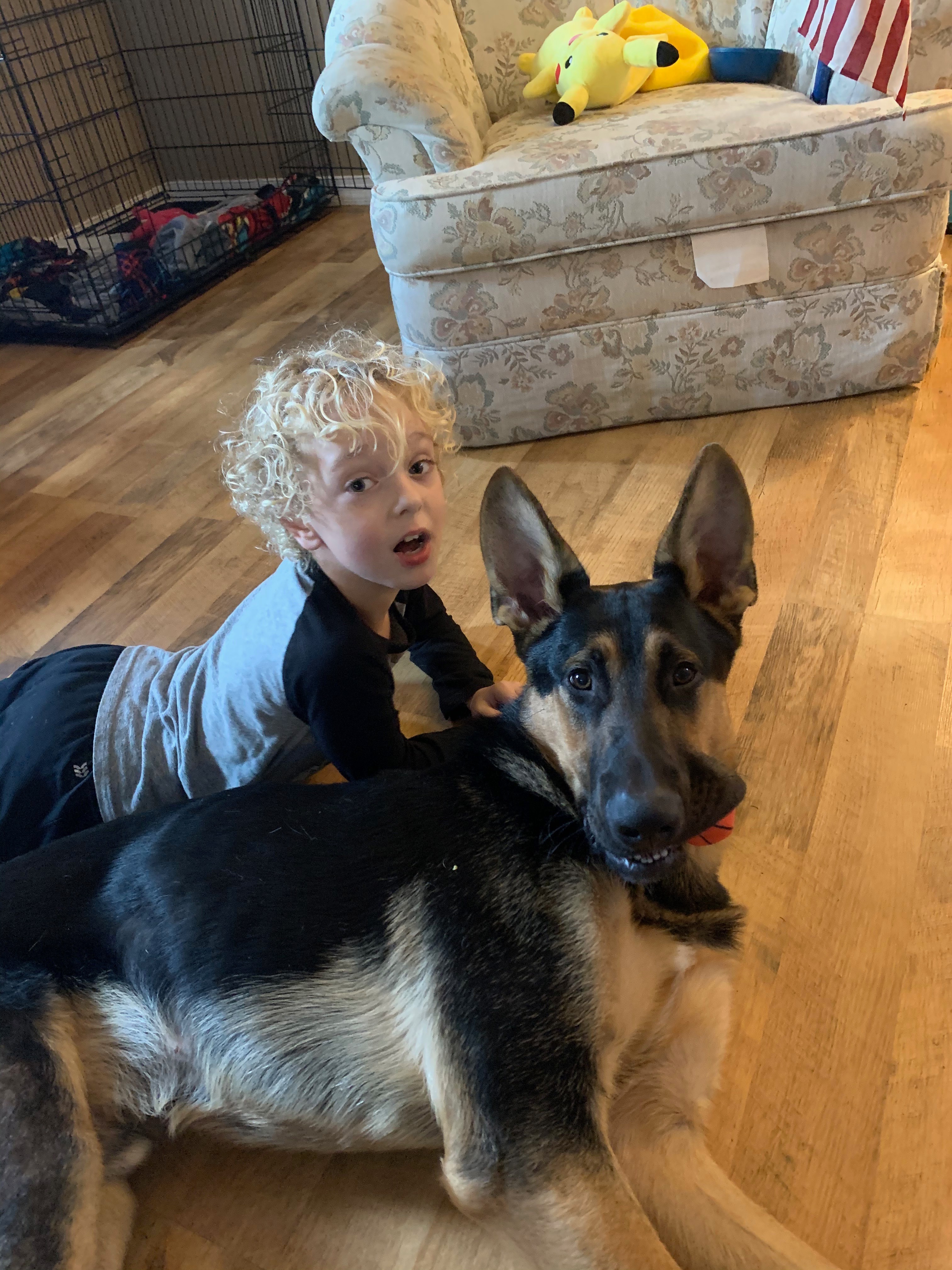 Support Harrison: New Service Dog Needed campaign photo, 2 of 6