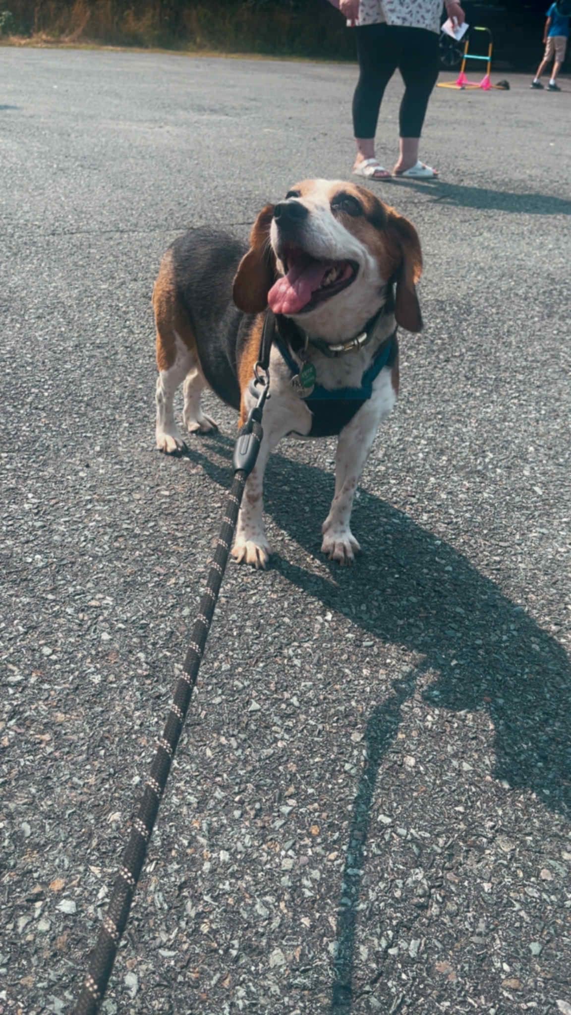 User-uploaded image 1