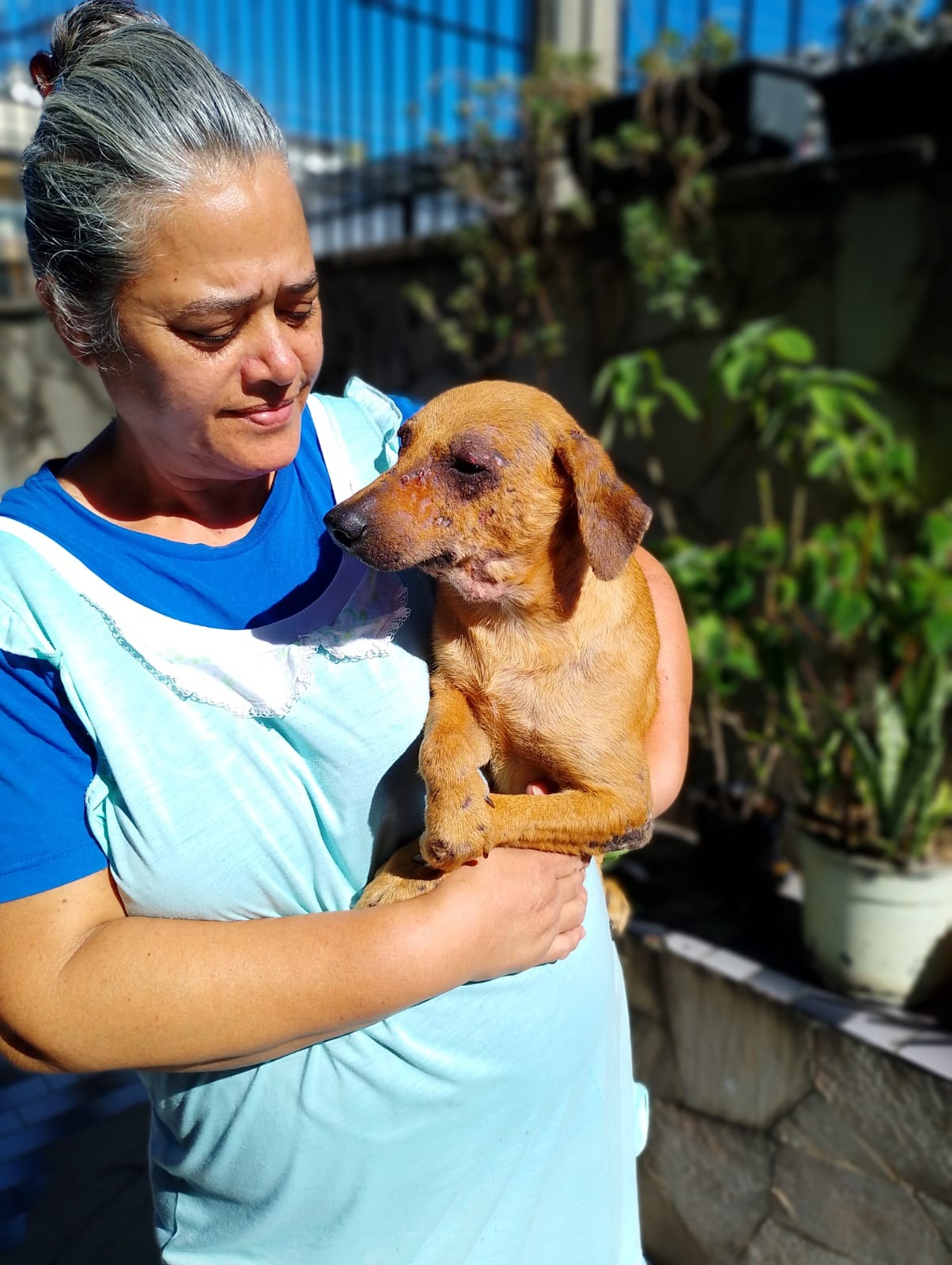 Rescuing Unwanted Animals in Brazil:  Elizabeth's Story campaign photo, 7 of 8