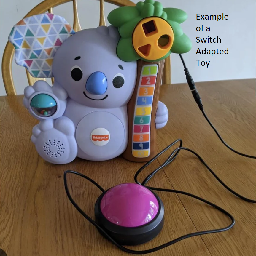 Support Adaptive Toys for Kids campaign photo, 4 of 6