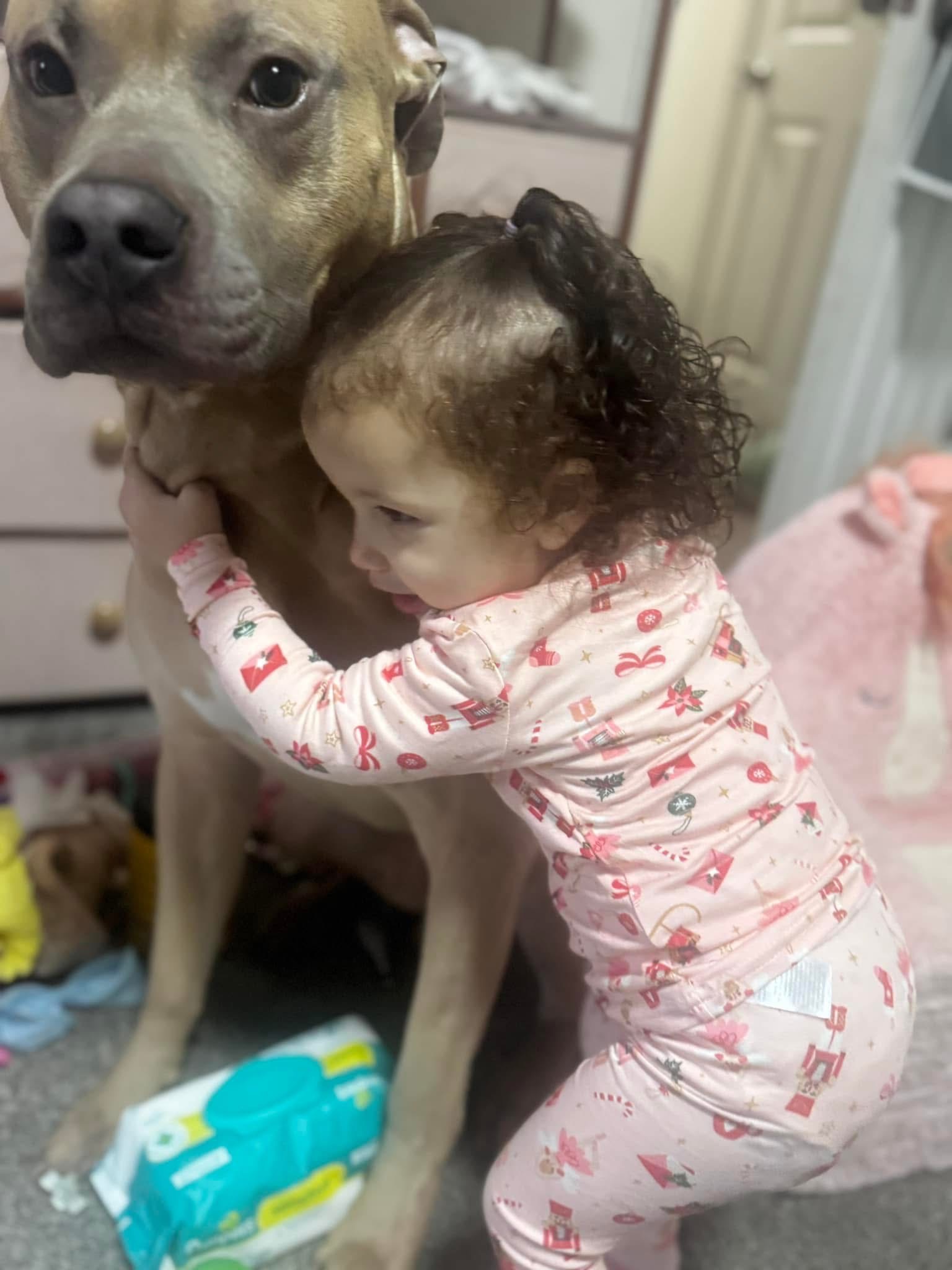 Help Our Family Keep Bullet at Home campaign photo, 2 of 8