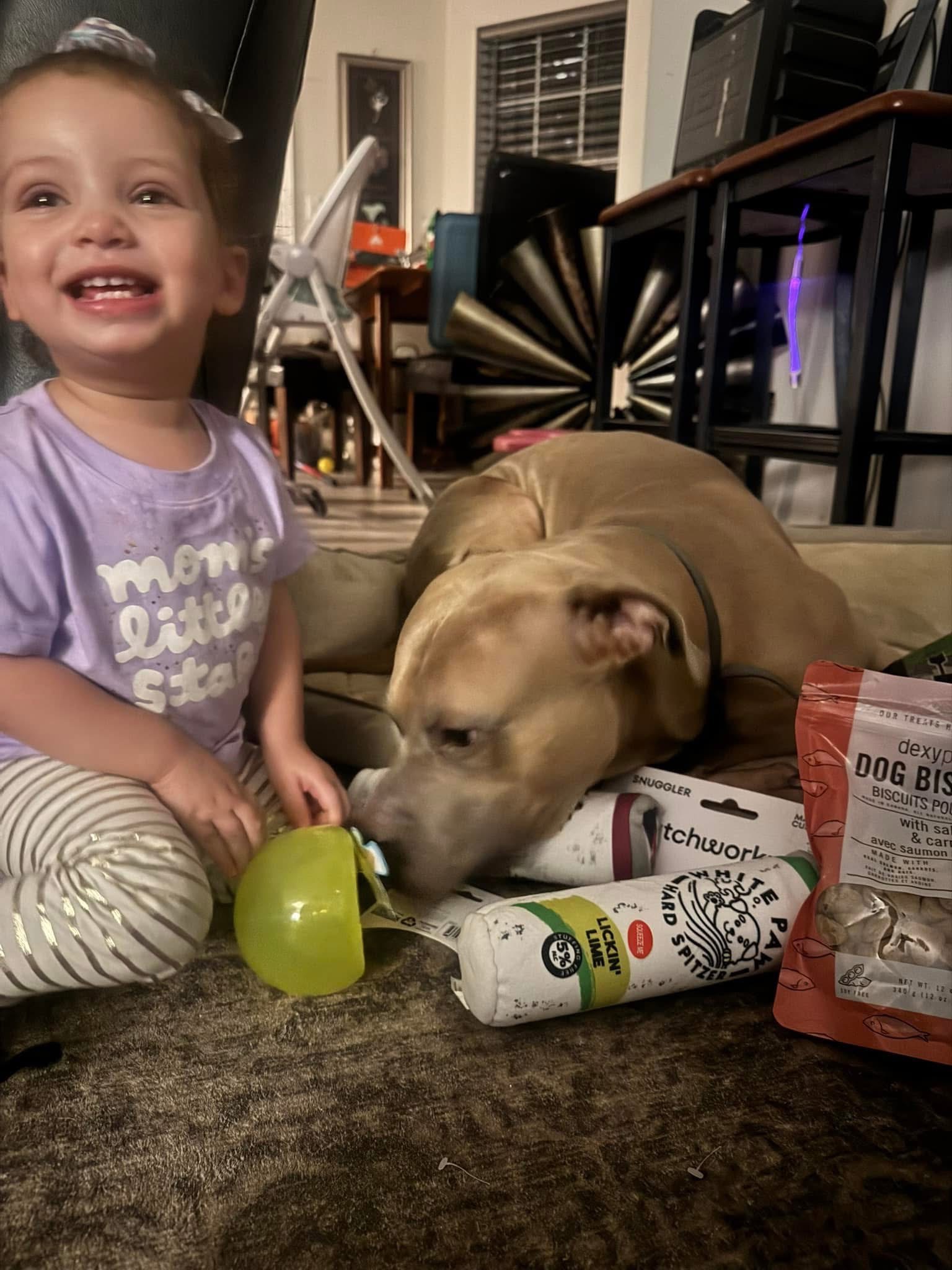 Help Our Family Keep Bullet at Home campaign photo, 4 of 8
