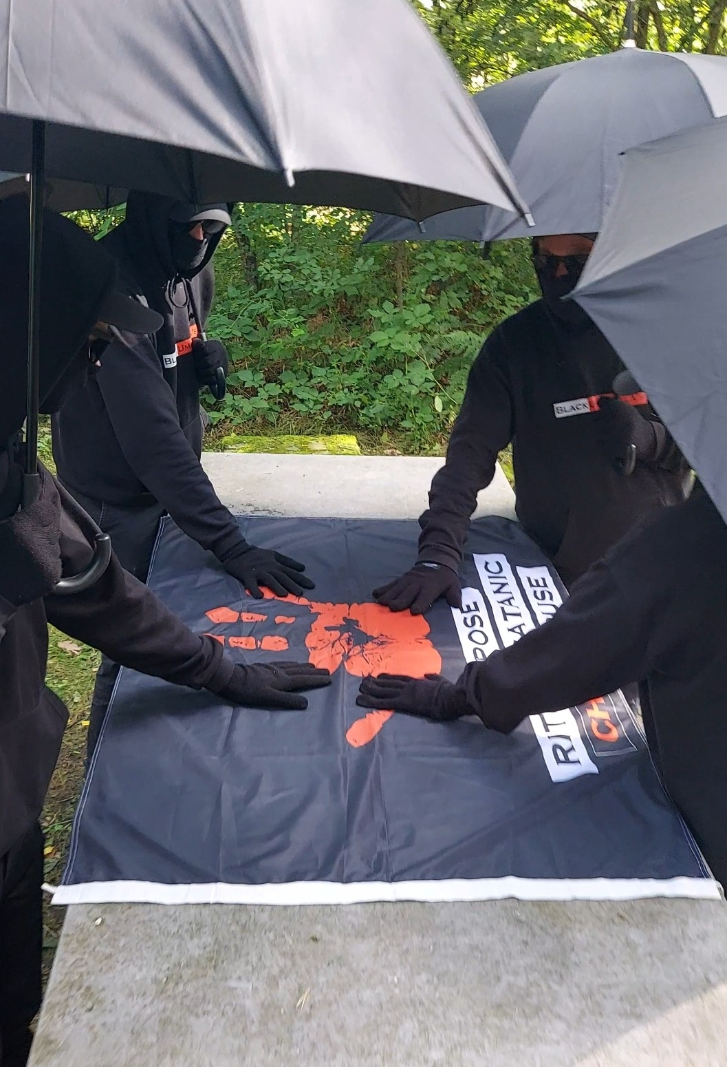 "Black Umbrellas: Help Us Find Lisa’s Baby" campaign photo, 2 of 4
