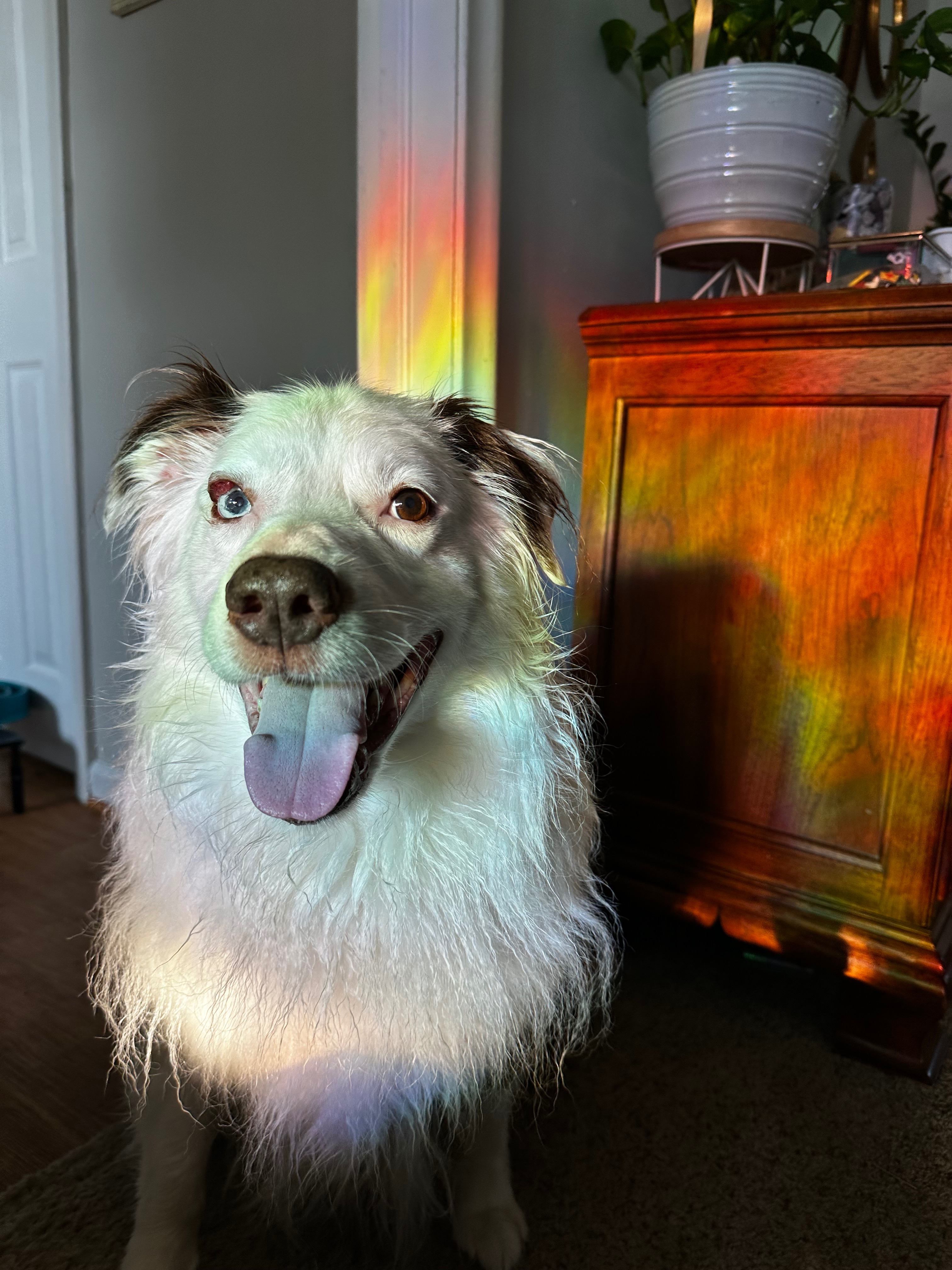 Support Reese's Journey to Pain-Free Sight campaign photo, 5 of 8