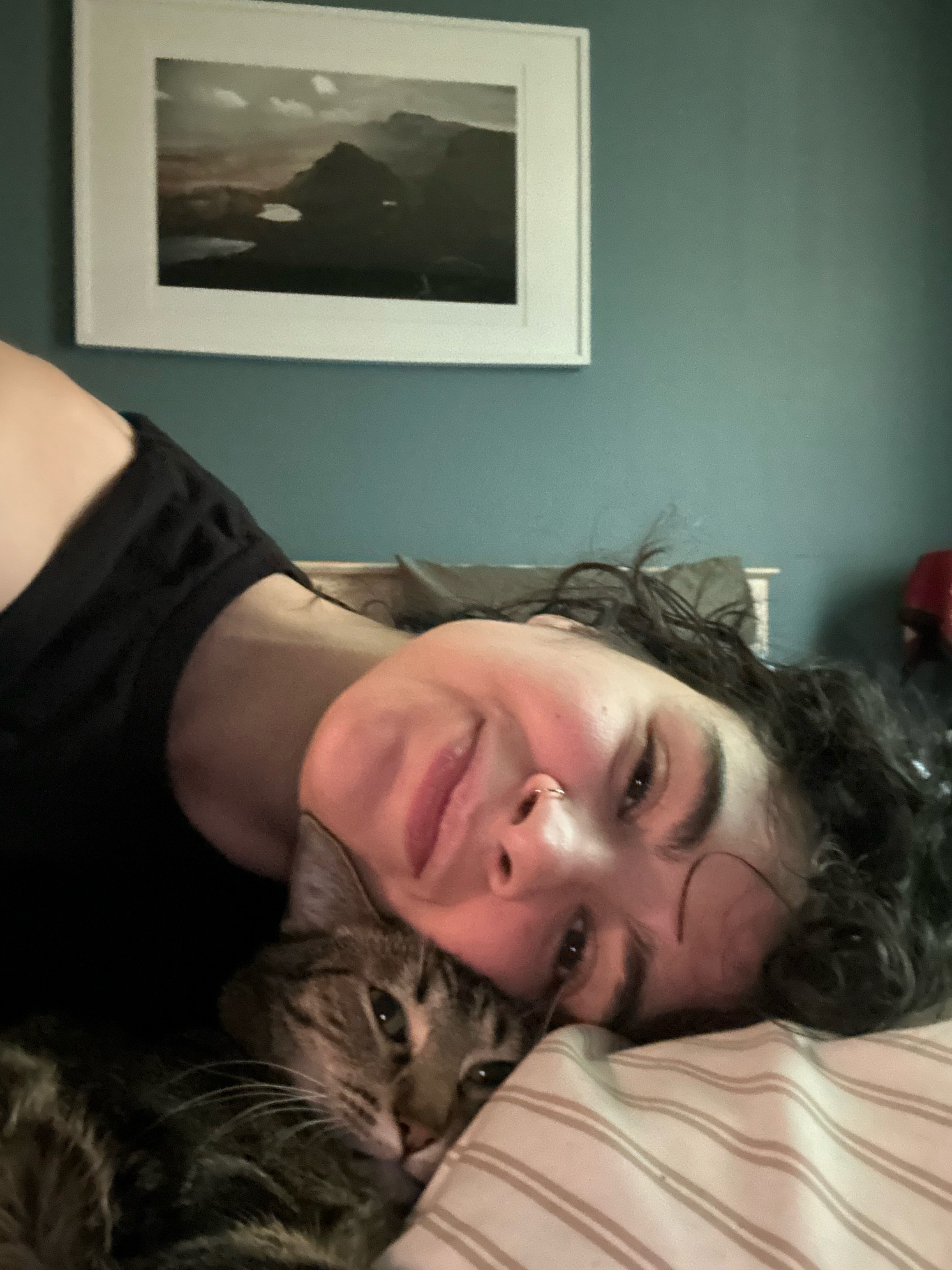 Sam's Cat Stevie Needs Urgent ICU Care campaign photo, 4 of 7