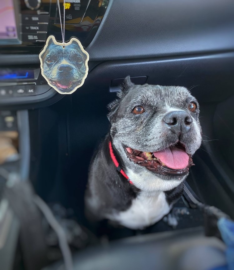 User-uploaded image 1