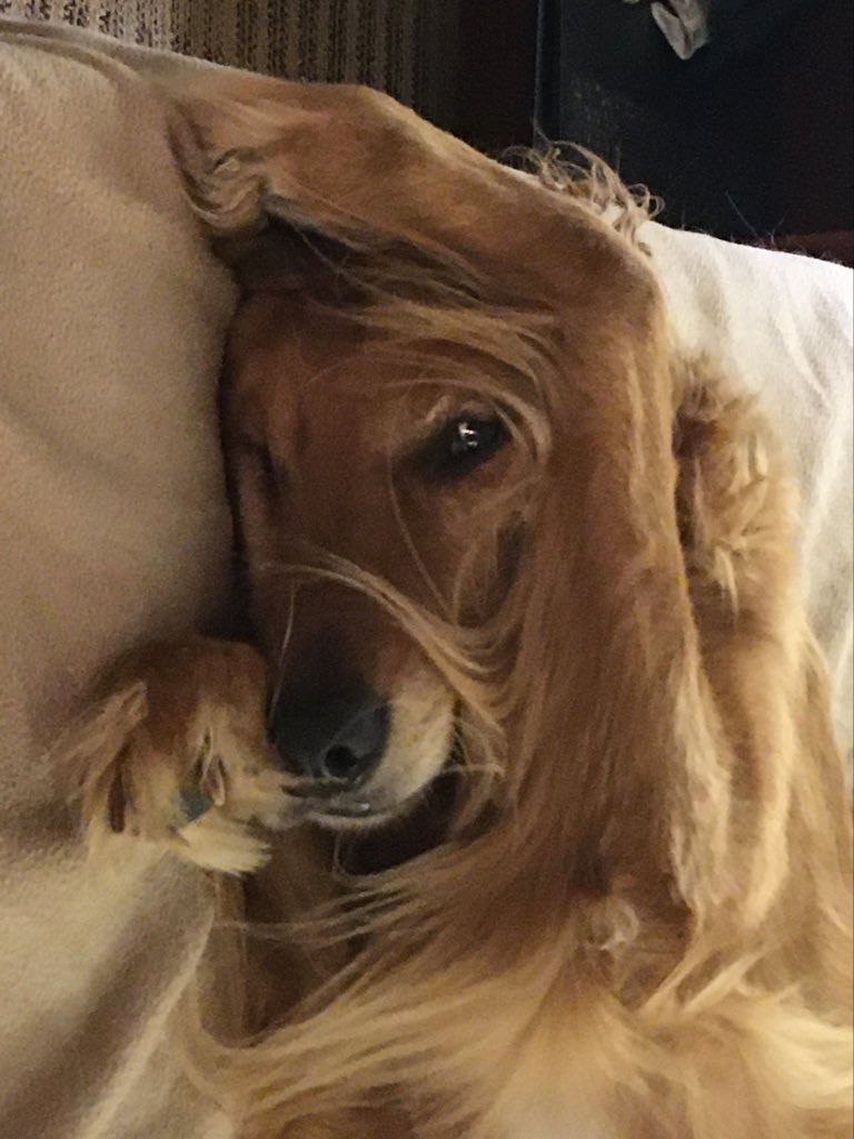 User-uploaded image 1