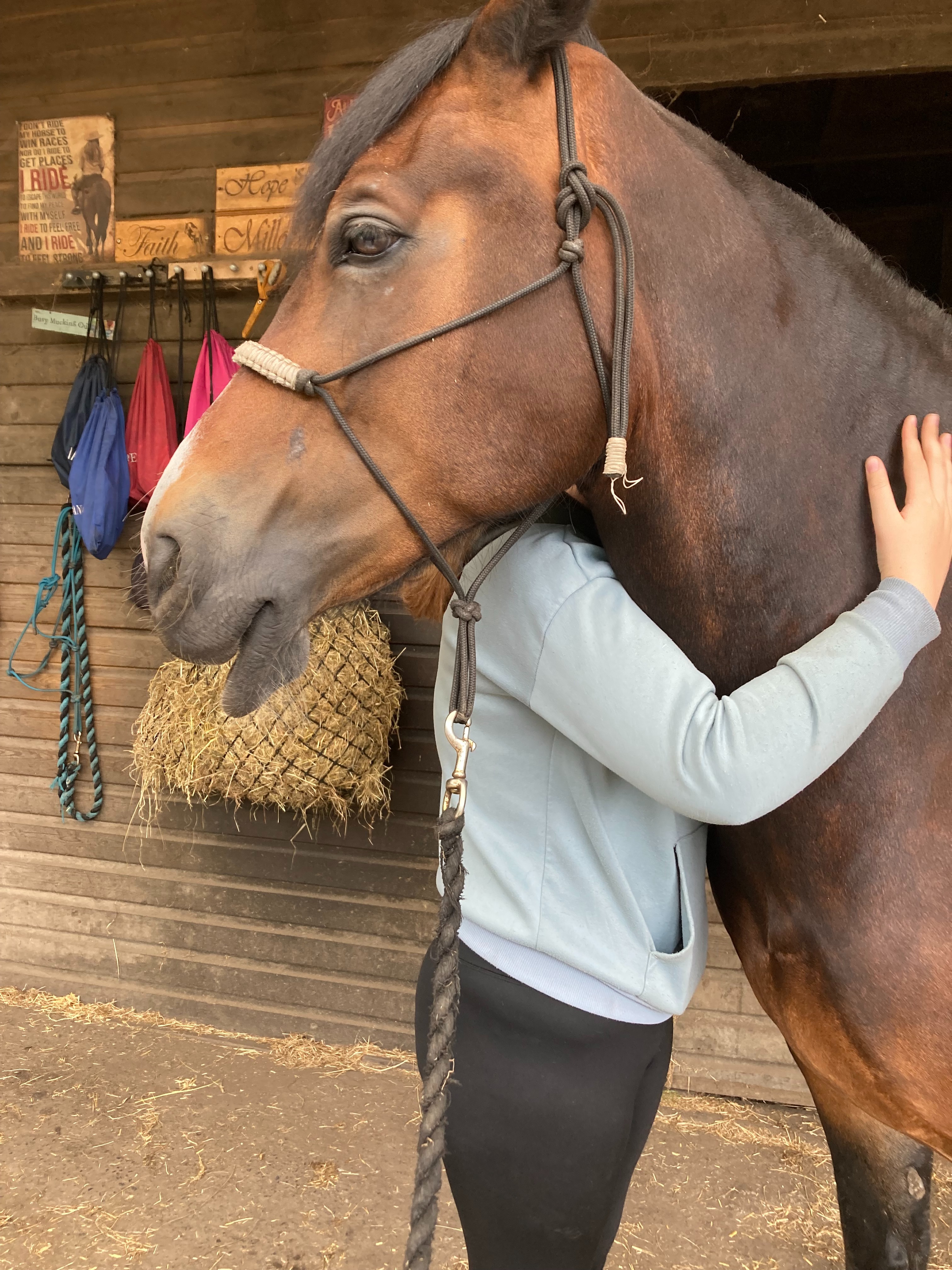 12 Hour Horse Walkathon to raise winter hay funds campaign photo, 7 of 8