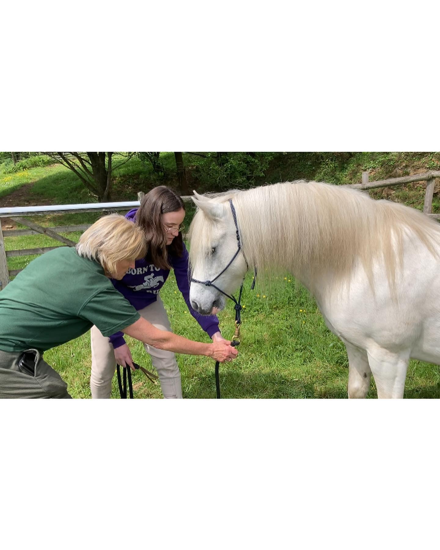 12 Hour Horse Walkathon to raise winter hay funds campaign photo, 4 of 8