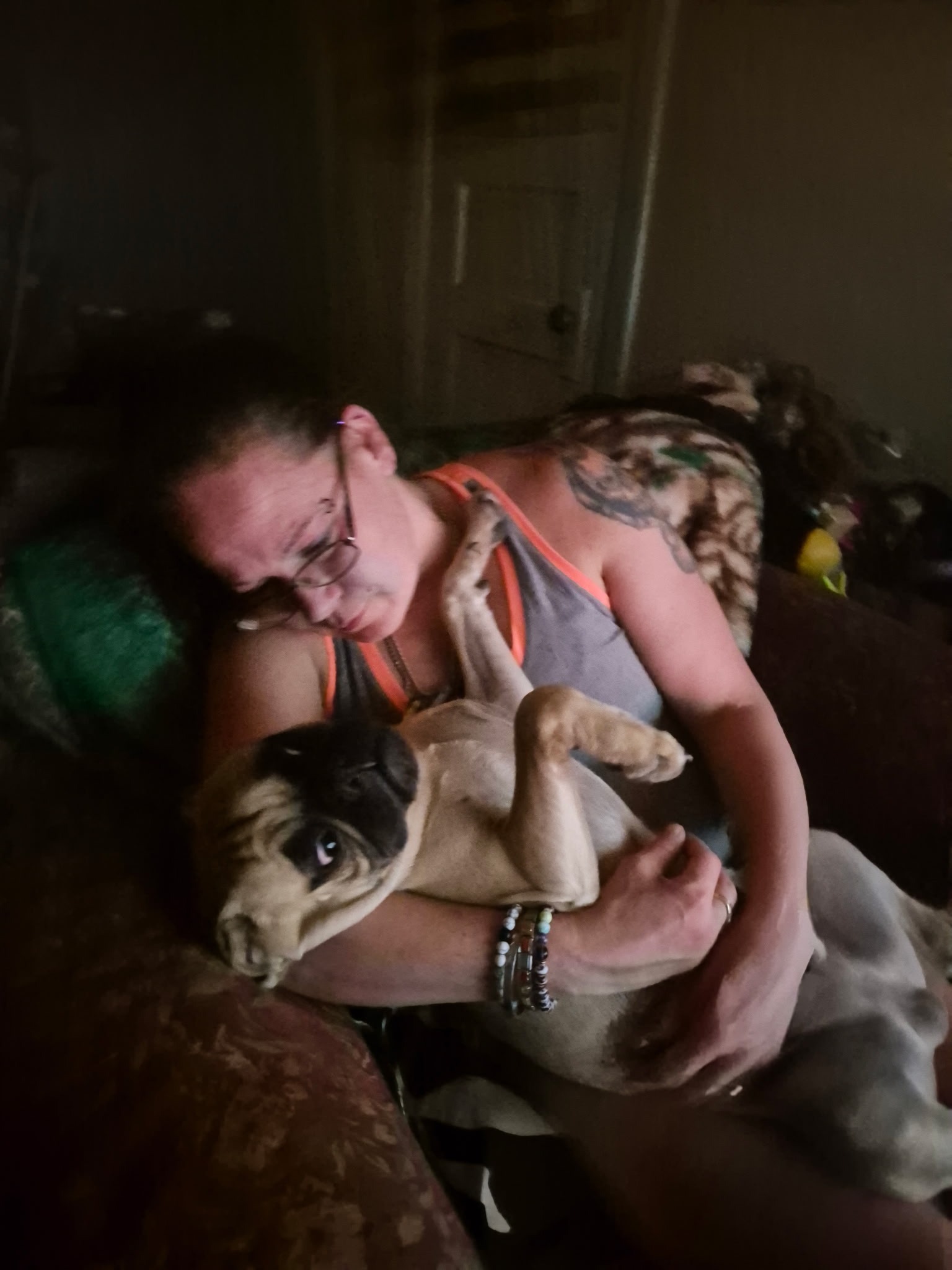 Support Winstins urgent  vet care and surgery.... campaign photo, 6 of 8