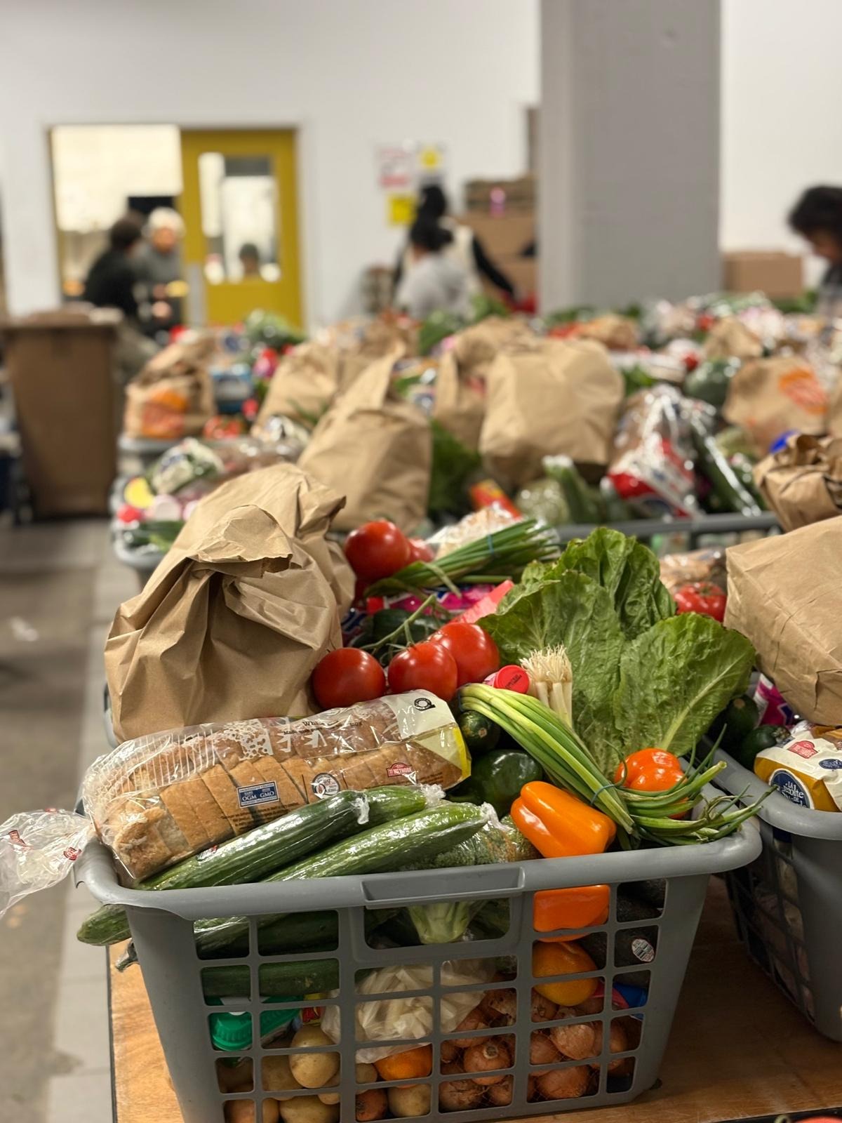 User-uploaded image 1