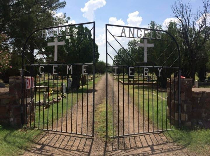 User-uploaded image 1