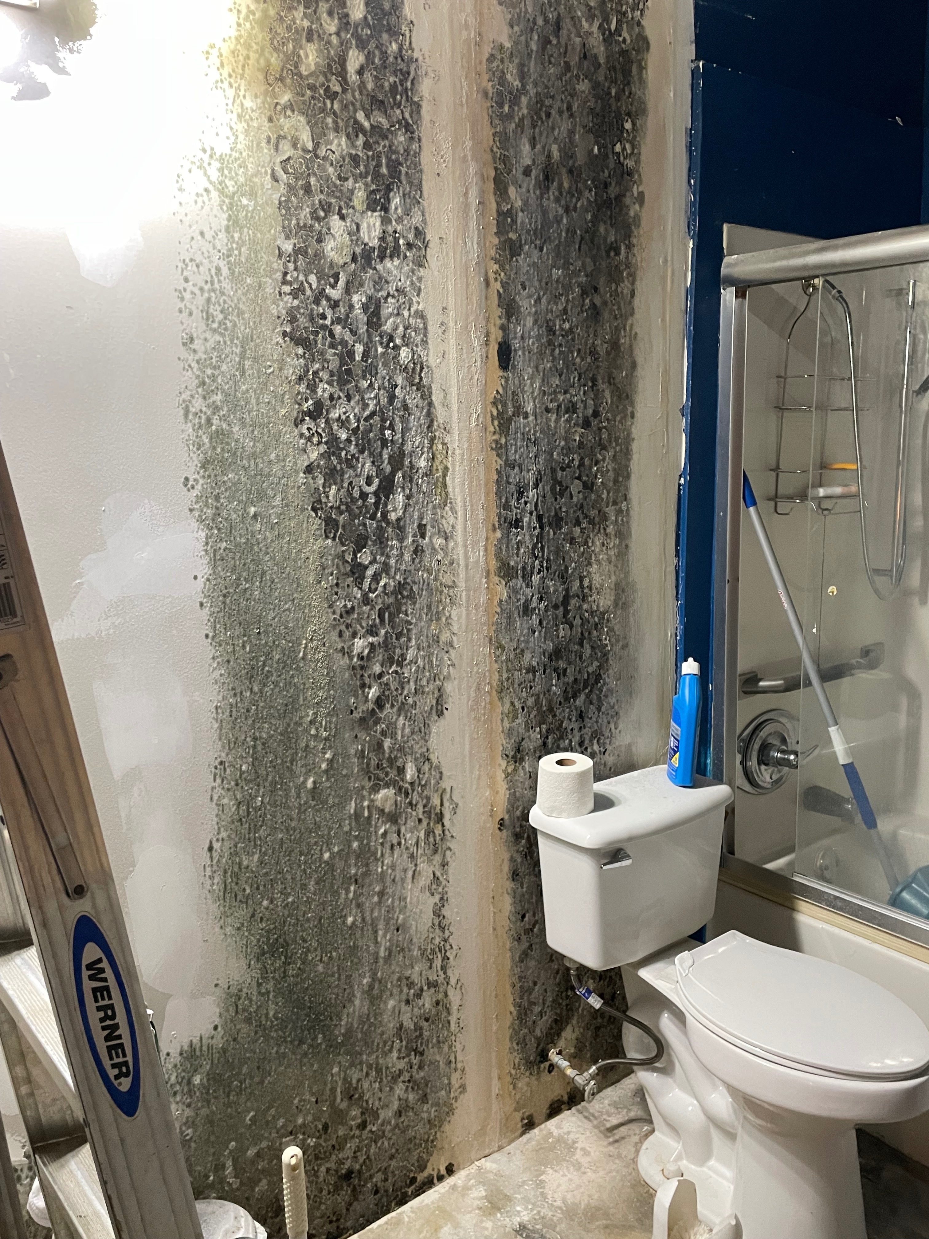 Urgent: Help Alden Recover From Fire, Mold Exposure & Rebuil campaign photo, 6 of 7
